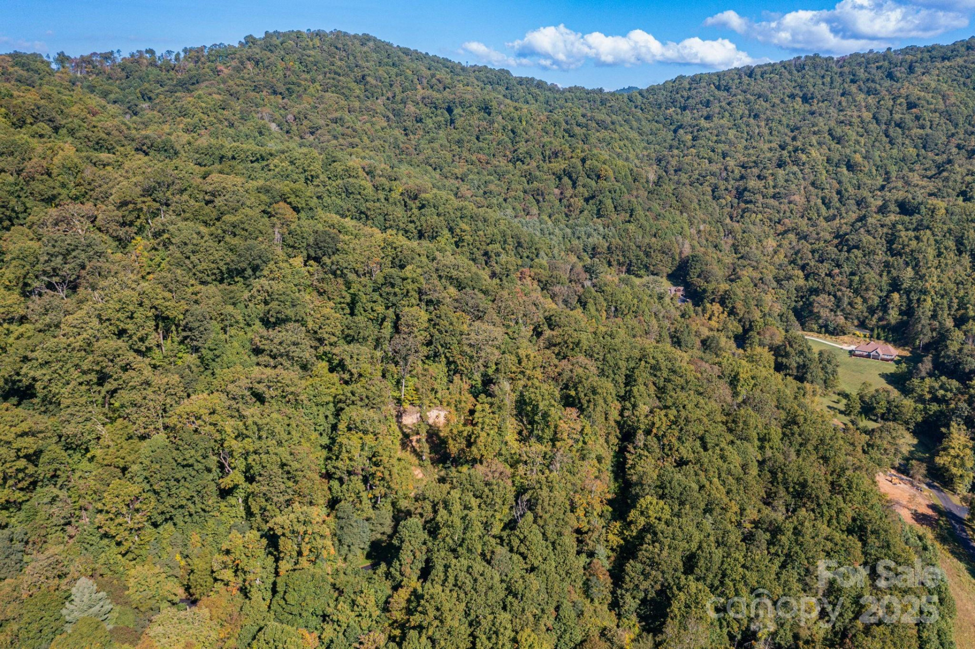 300 Running Deer Lane #70 - Photo 3