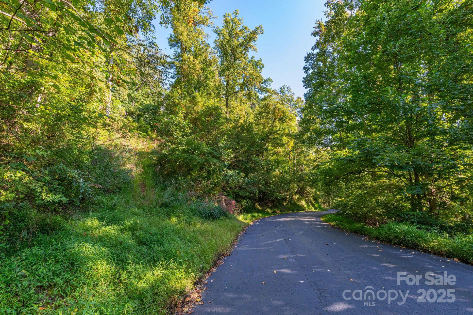 300 Running Deer Lane #70 - Photo 4