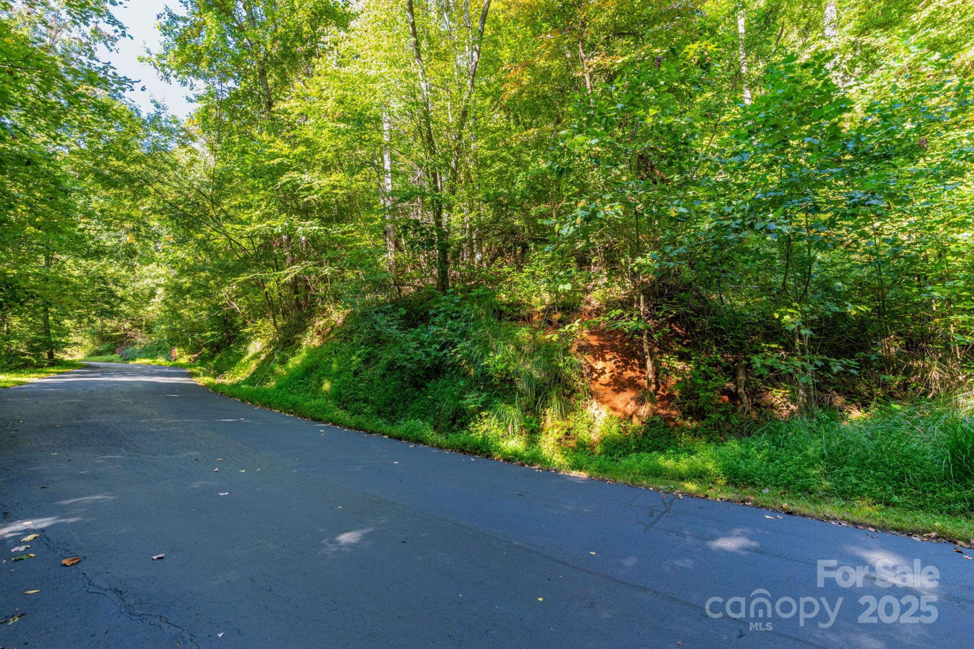 300 Running Deer Lane #70 - Photo 5