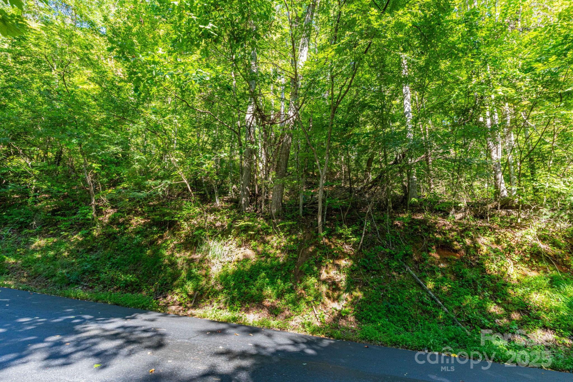 300 Running Deer Lane #70 - Photo 6