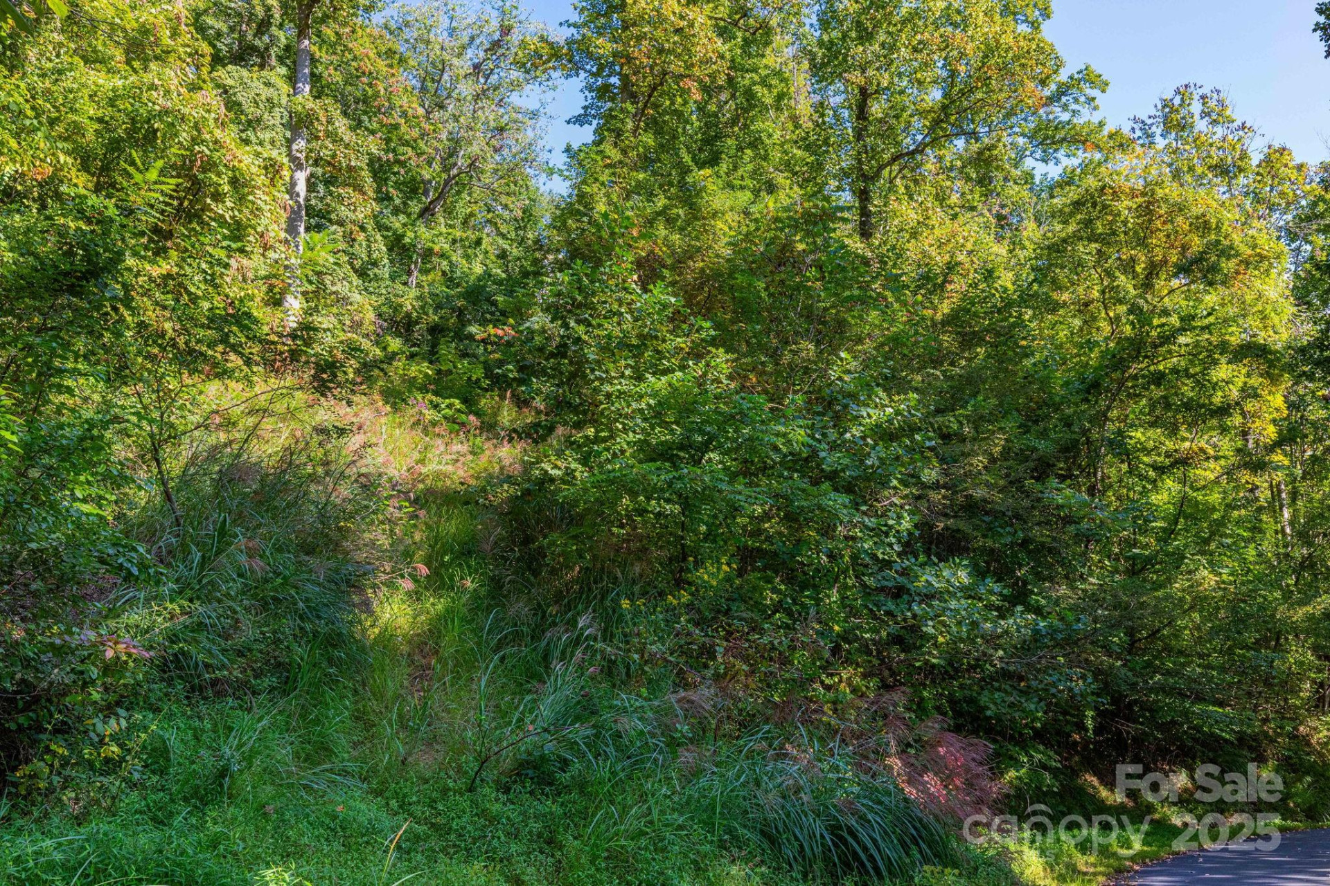 300 Running Deer Lane #70 - Photo 7