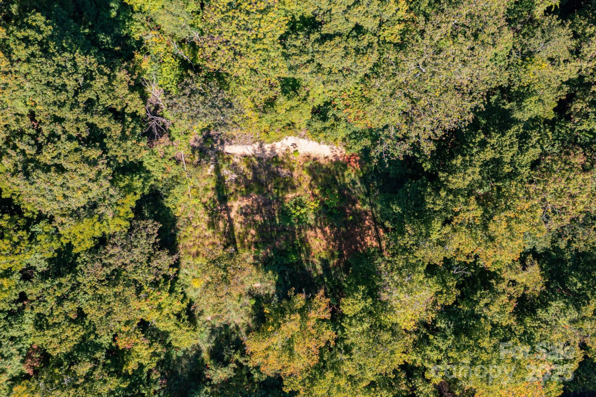 300 Running Deer Lane #70 - Photo 10