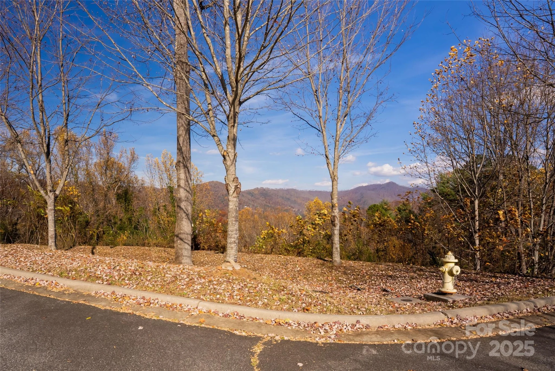 33 Grovepoint Way - Photo 3