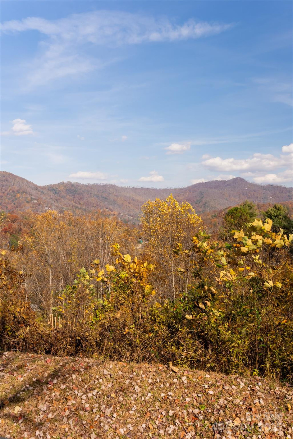 33 Grovepoint Way - Photo 27