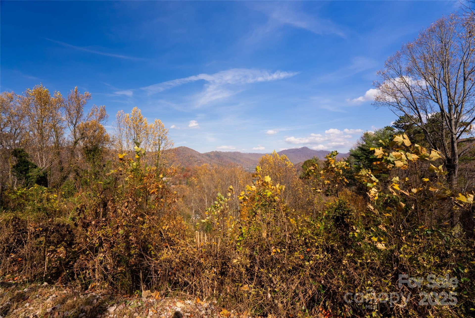 33 Grovepoint Way - Photo 28