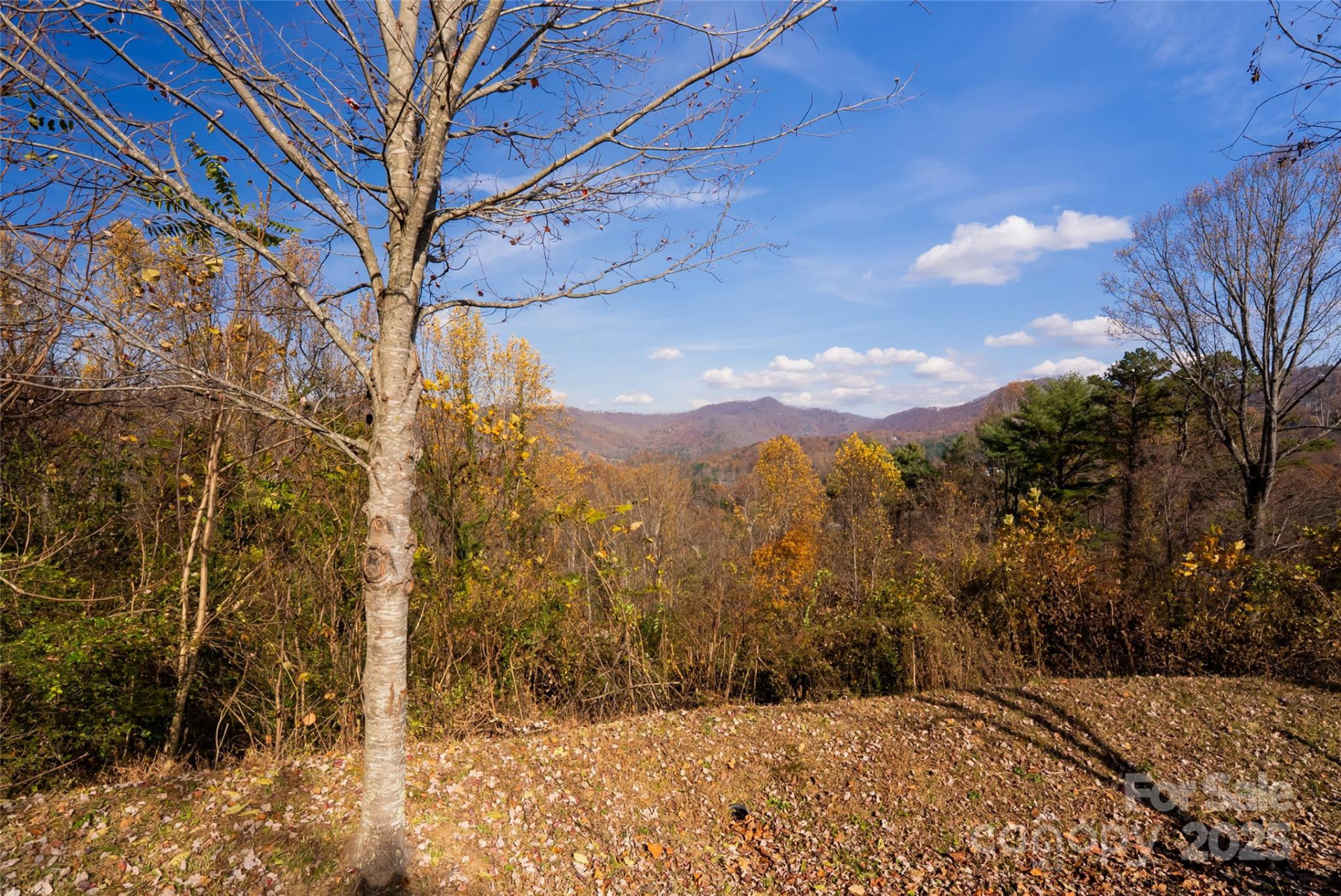 33 Grovepoint Way - Photo 29