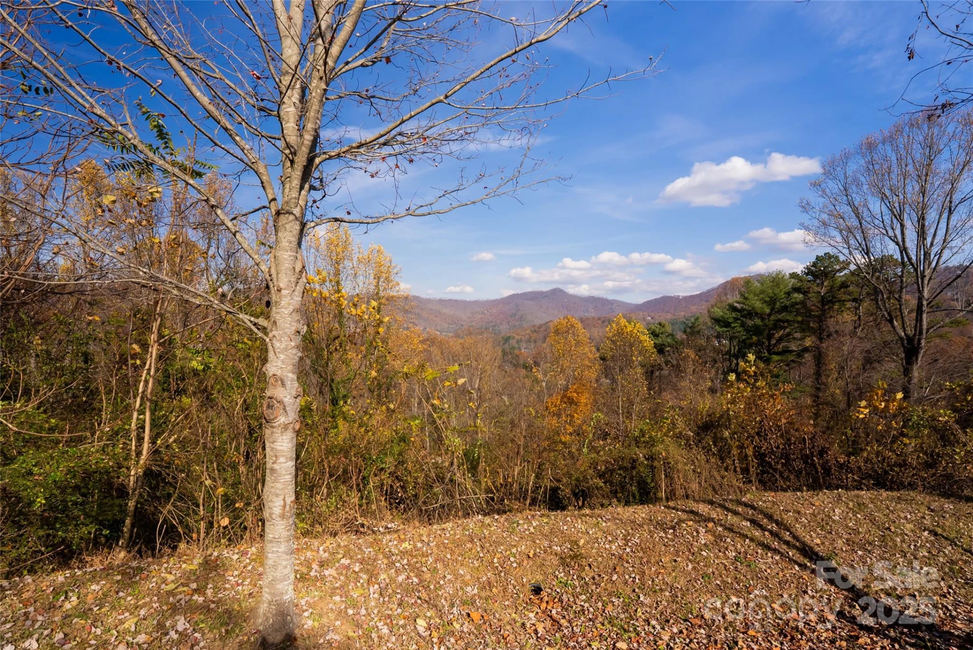 33 Grovepoint Way - Photo 29