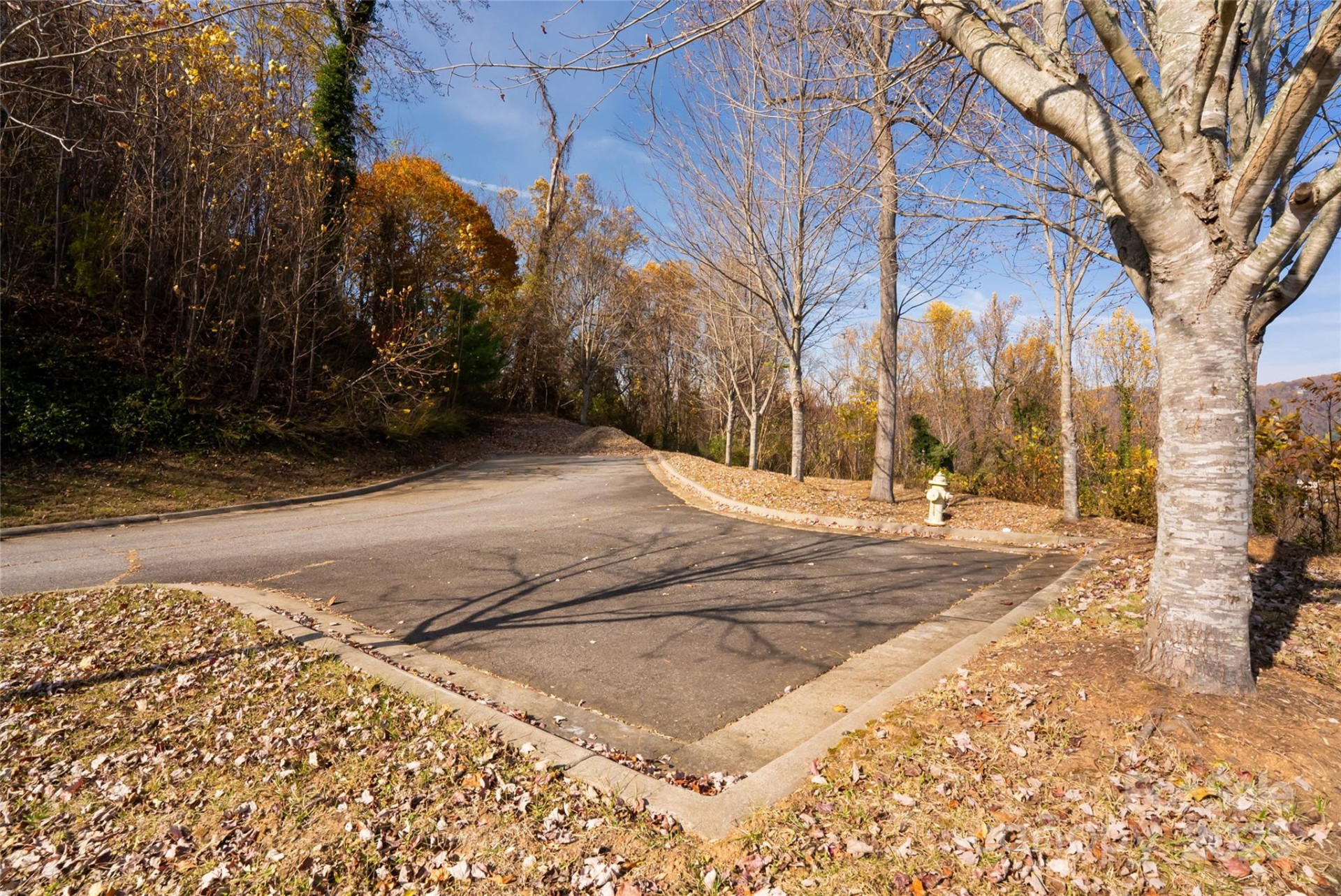 33 Grovepoint Way - Photo 30