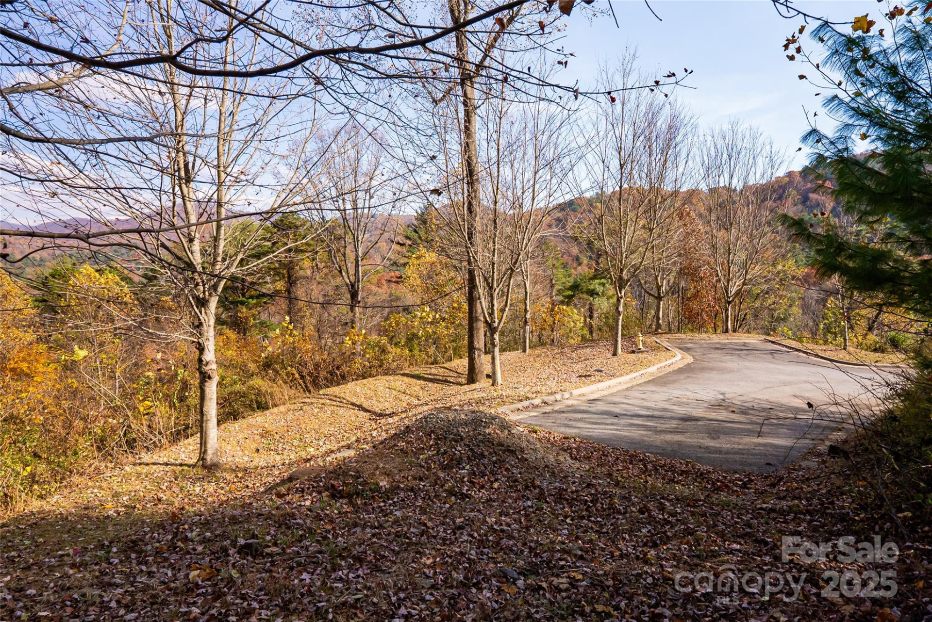 33 Grovepoint Way - Photo 4