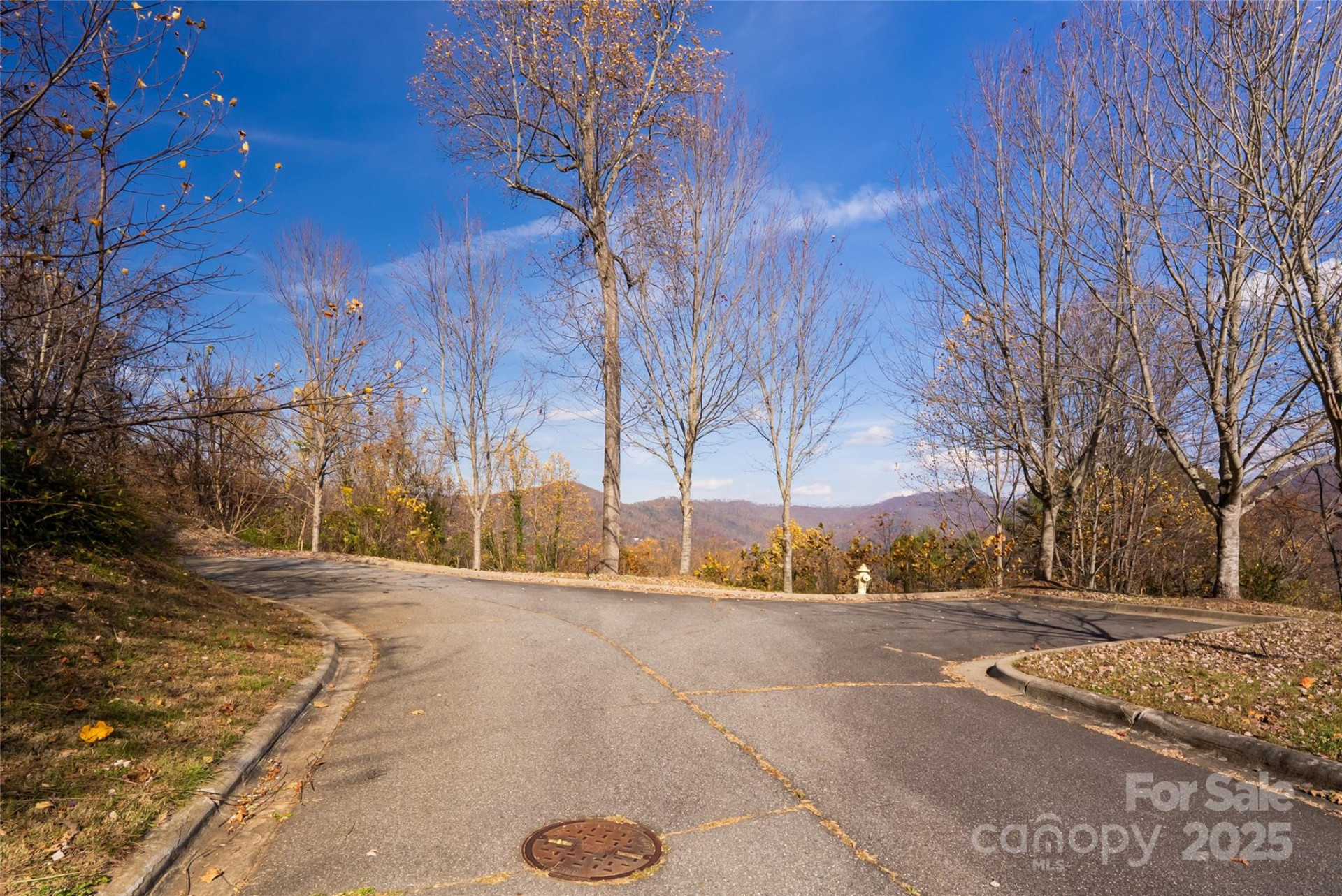 33 Grovepoint Way - Photo 5