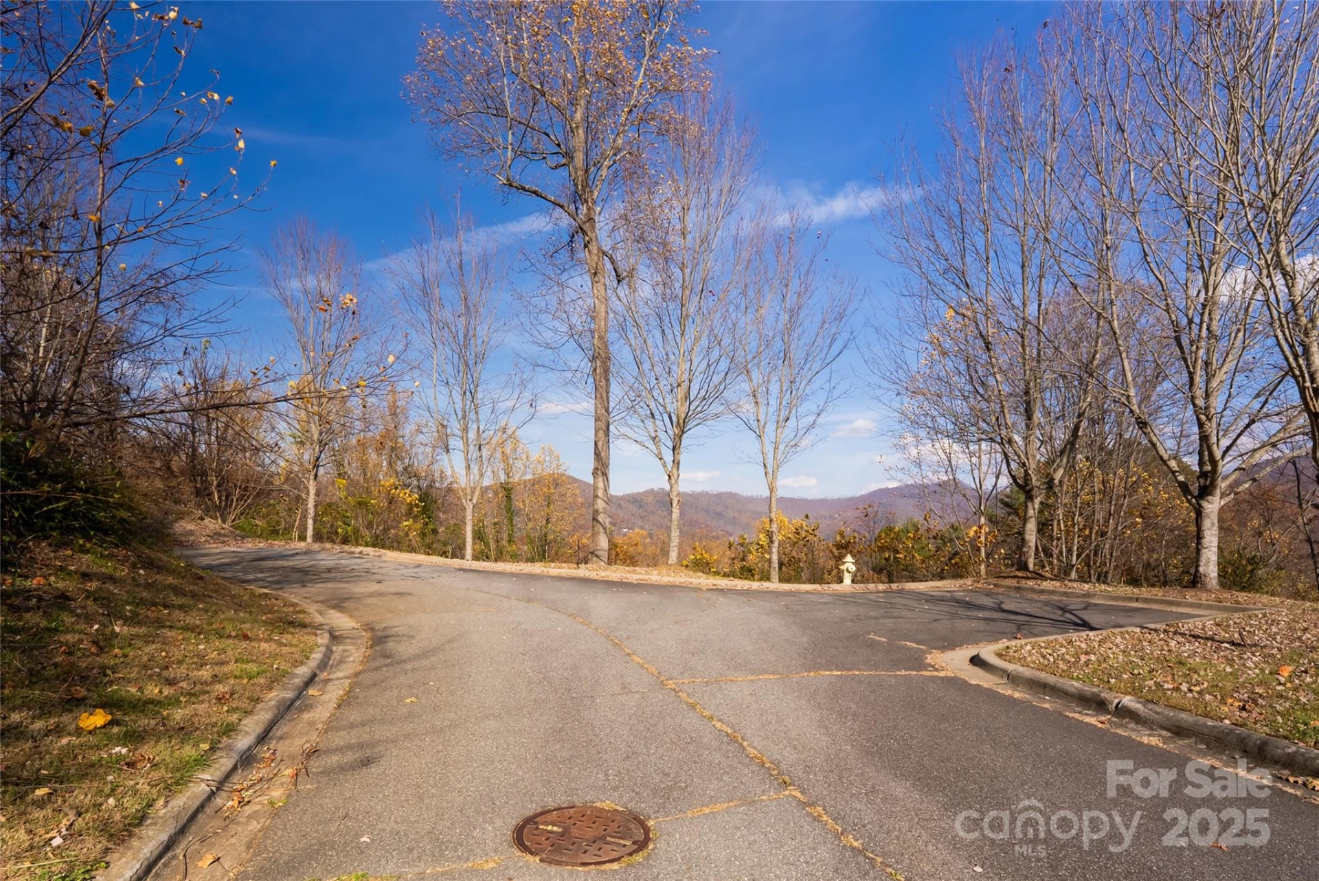 33 Grovepoint Way - Photo 5