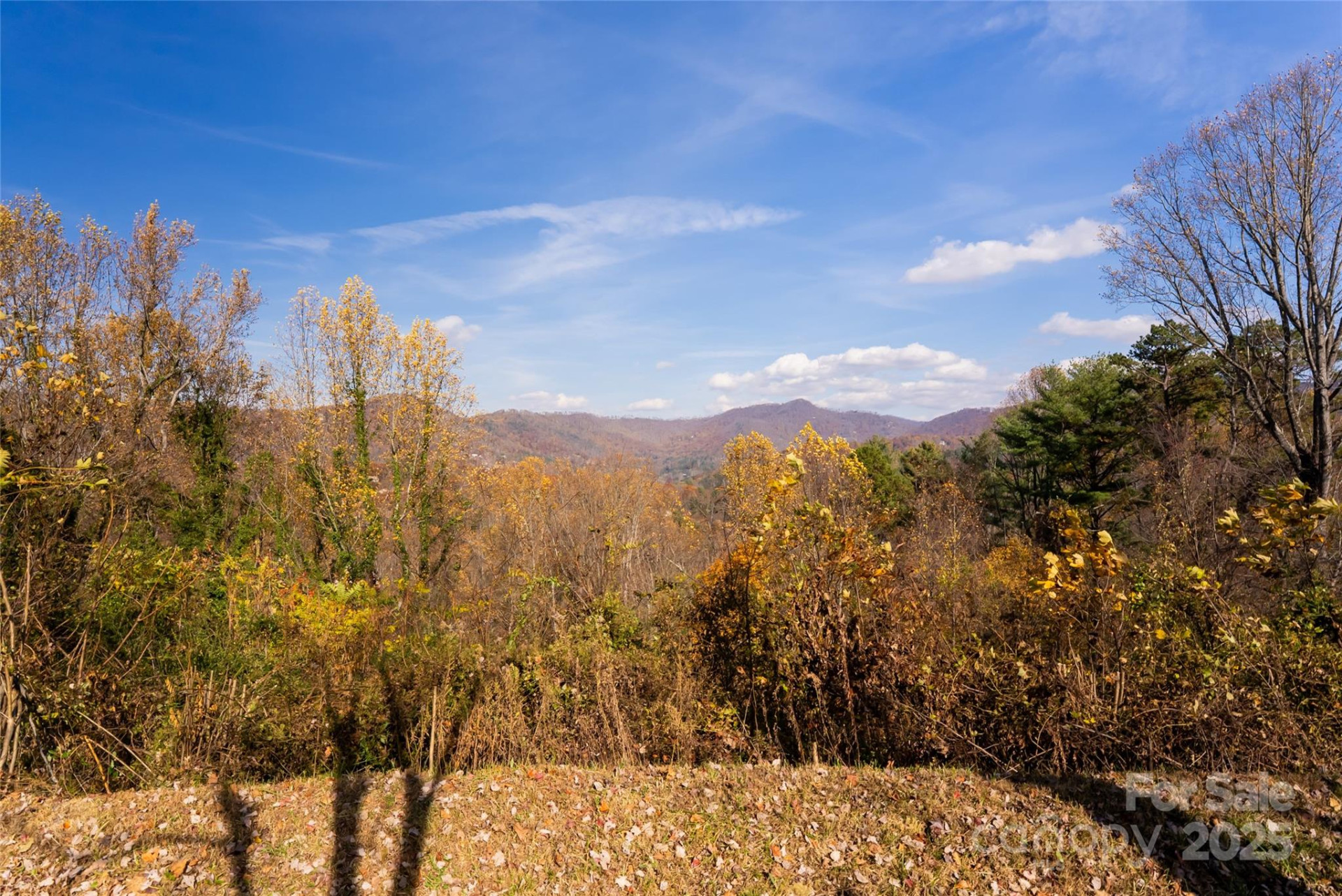 33 Grovepoint Way - Photo 6