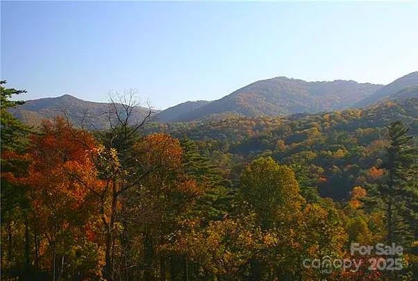 33 Grovepoint Way - Photo 8