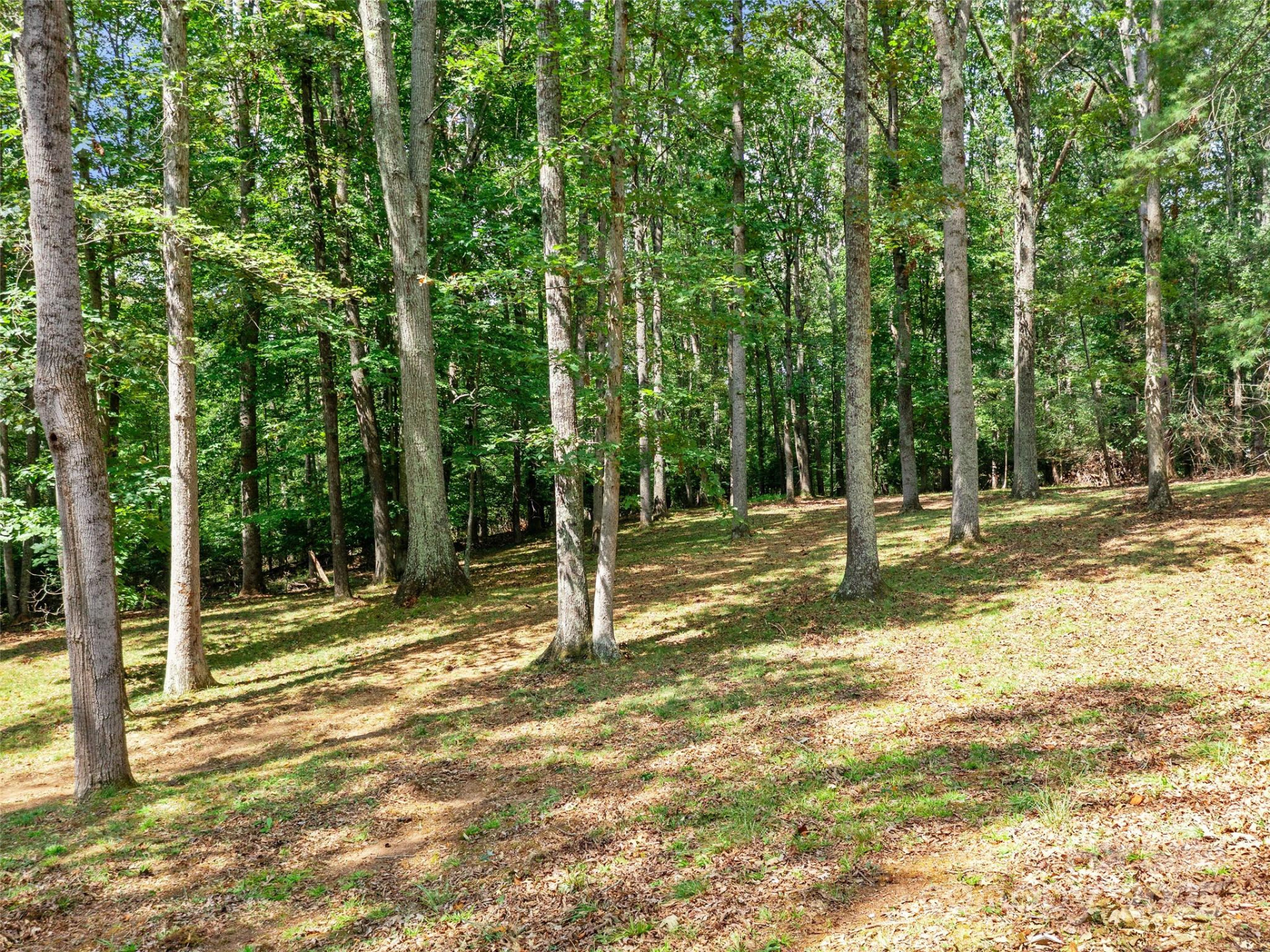 631 Macedonia Road - Photo 11