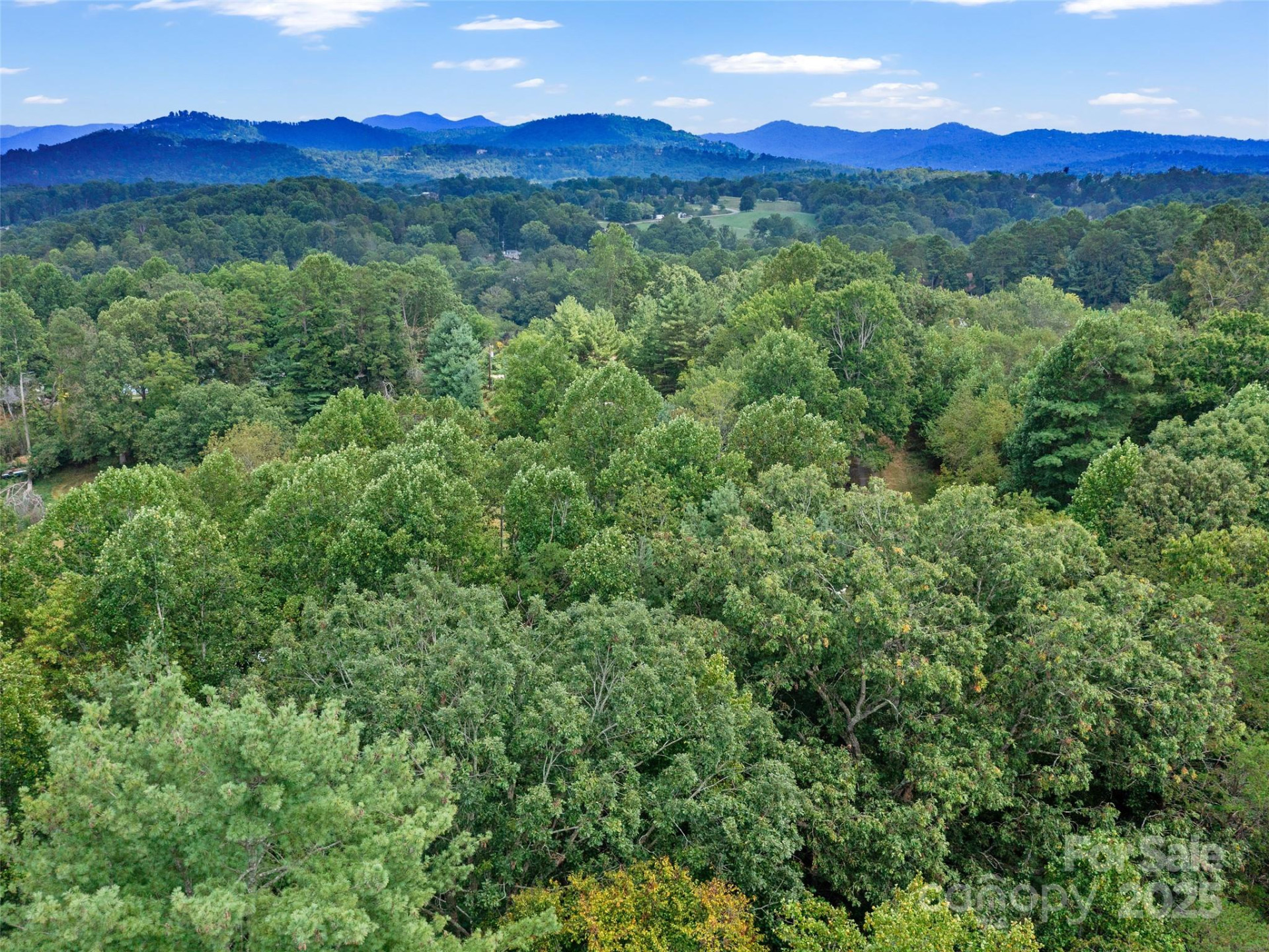 631 Macedonia Road - Photo 39