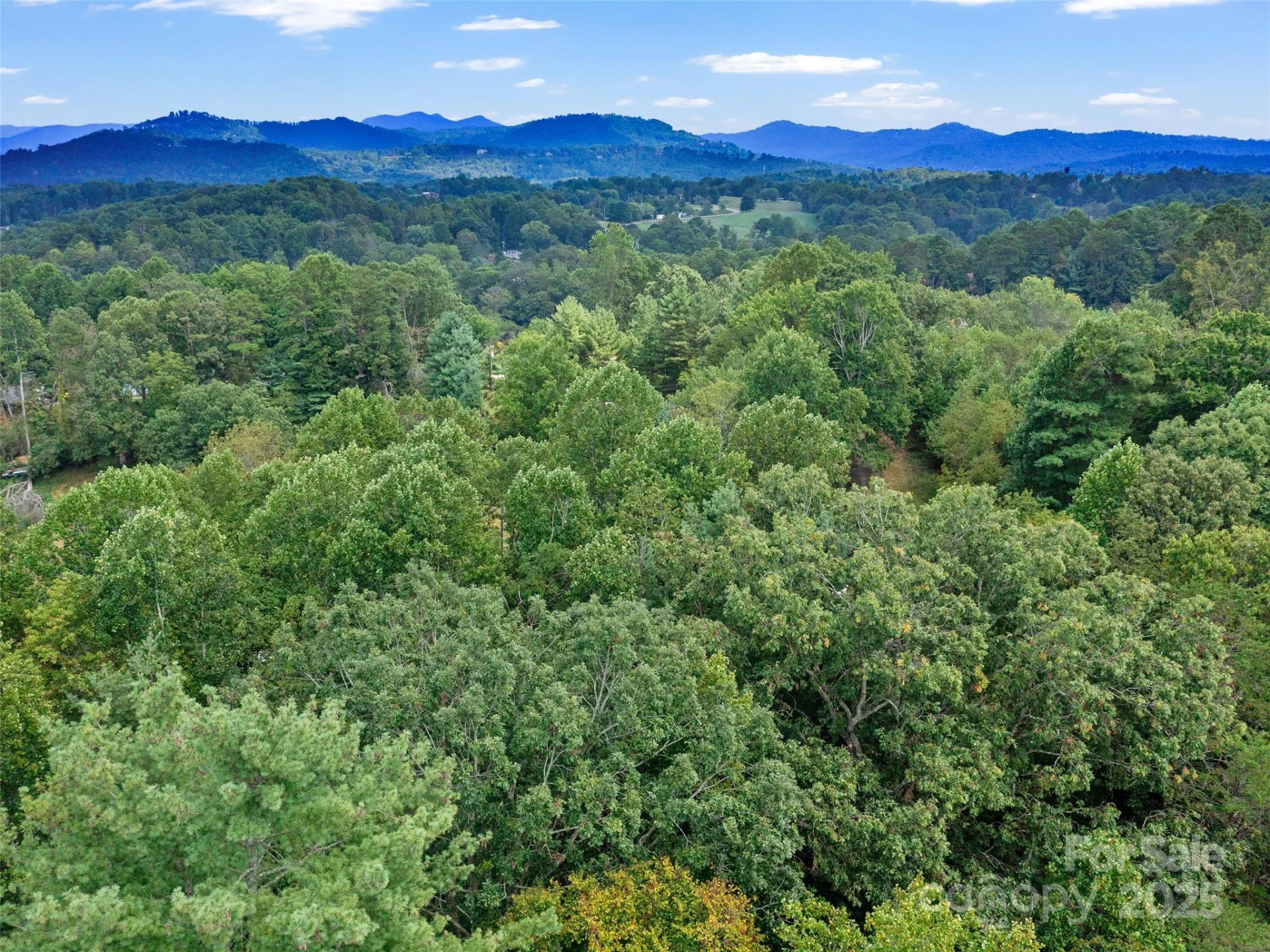 631 Macedonia Road - Photo 39