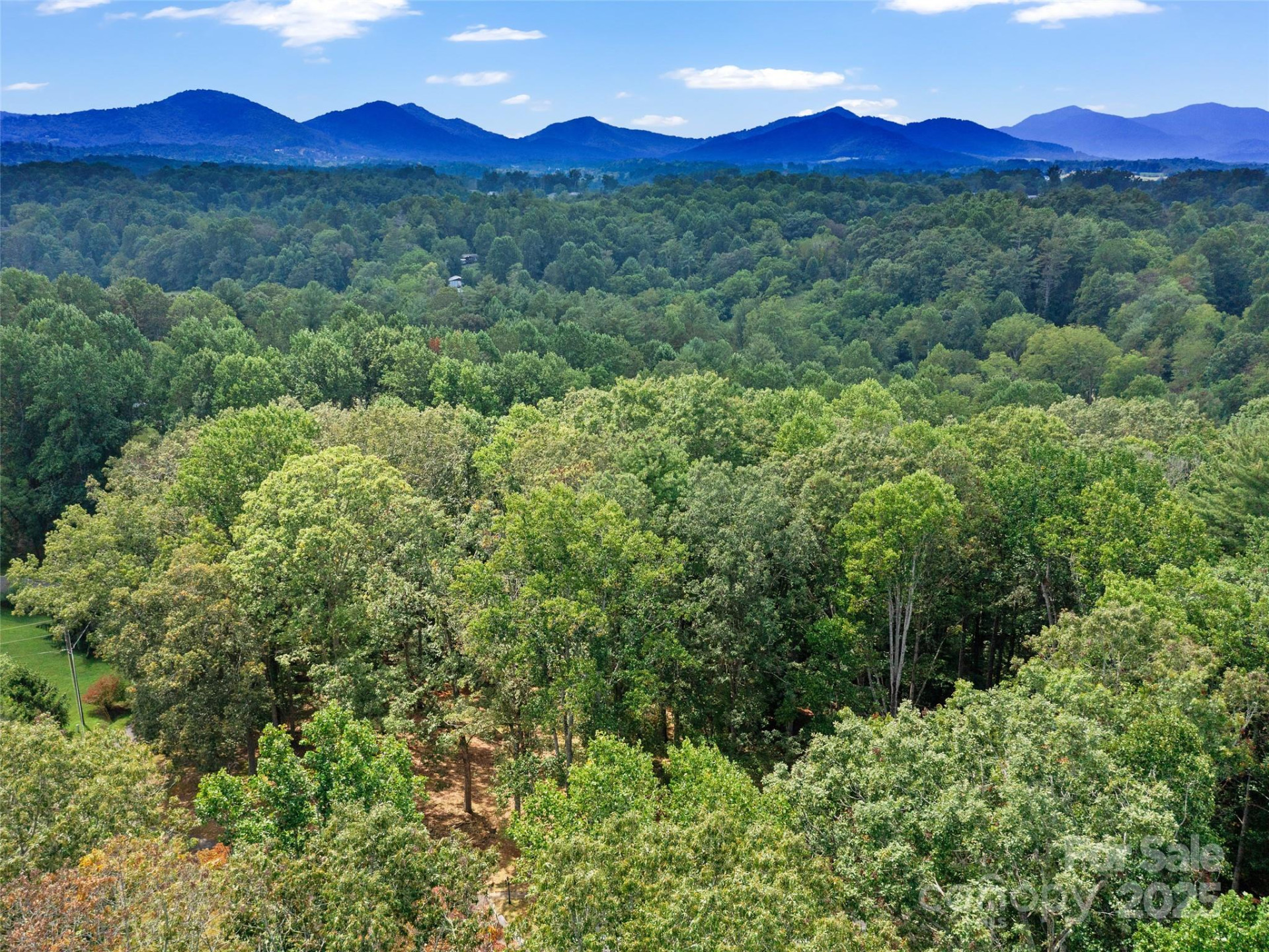 631 Macedonia Road - Photo 40