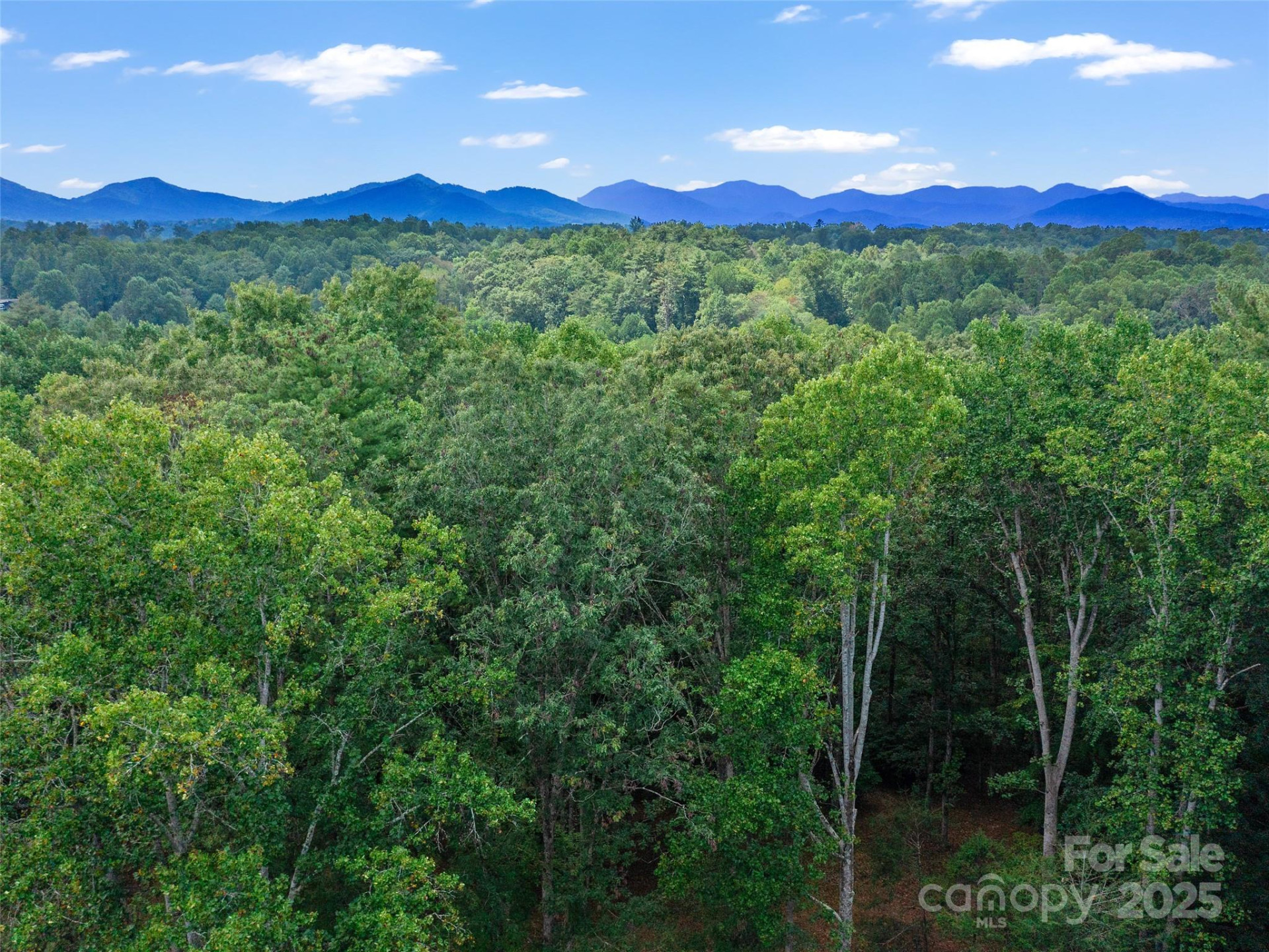 631 Macedonia Road - Photo 41