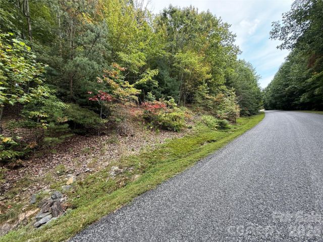 1029 Chippawa Drive, Arden, NC, 28704