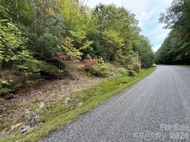 1029 Chippawa Drive, Arden, NC, 28704