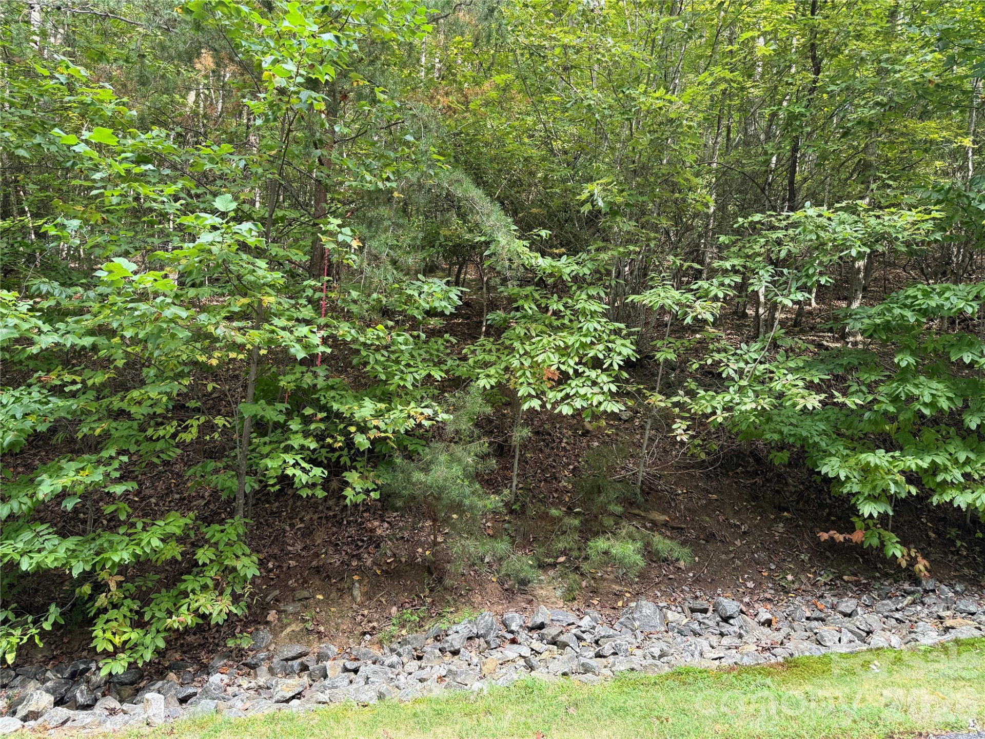 1029 Chippawa Drive #67 - Photo 2