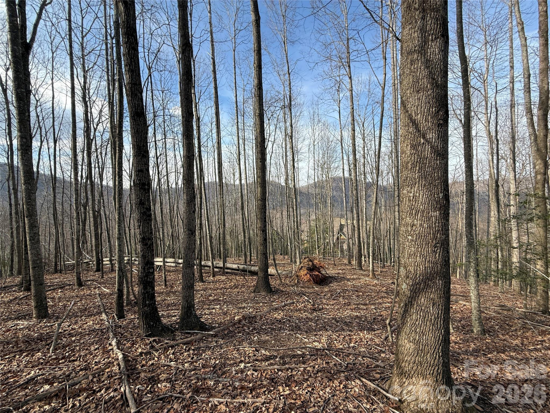 1029 Chippawa Drive #67 - Photo 11