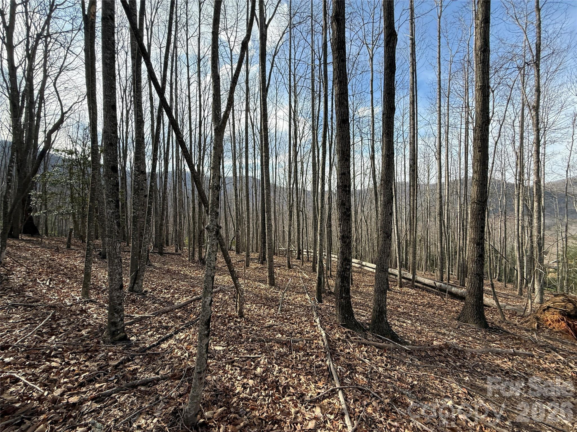 1029 Chippawa Drive #67 - Photo 12