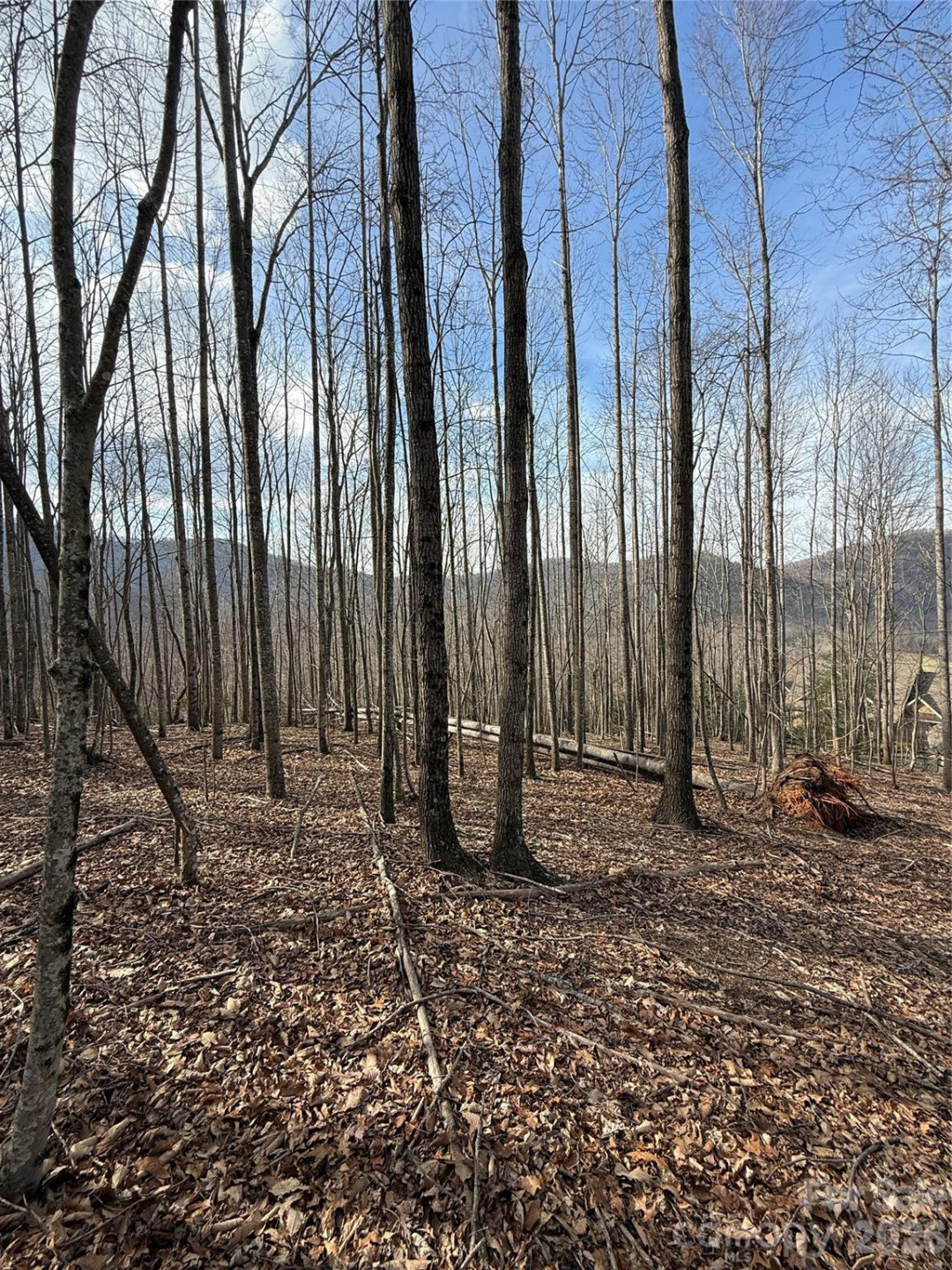 1029 Chippawa Drive #67 - Photo 14