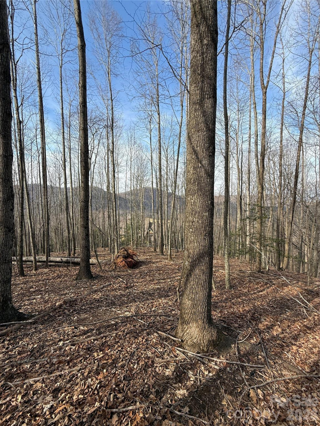 1029 Chippawa Drive #67 - Photo 15