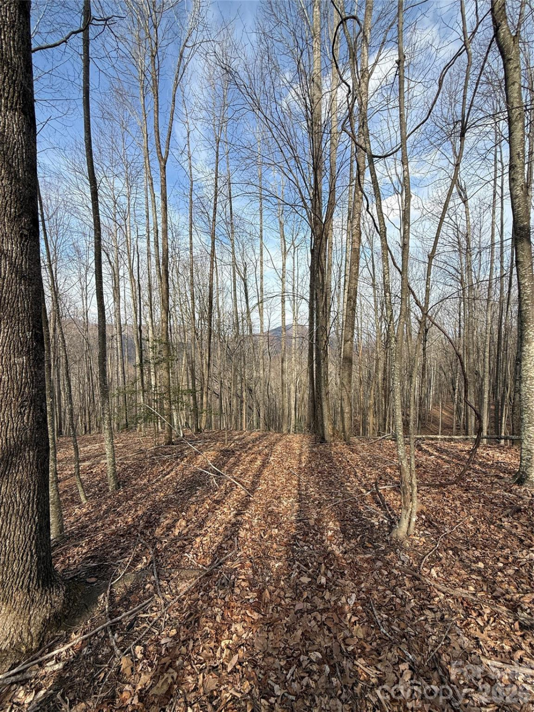 1029 Chippawa Drive #67 - Photo 16