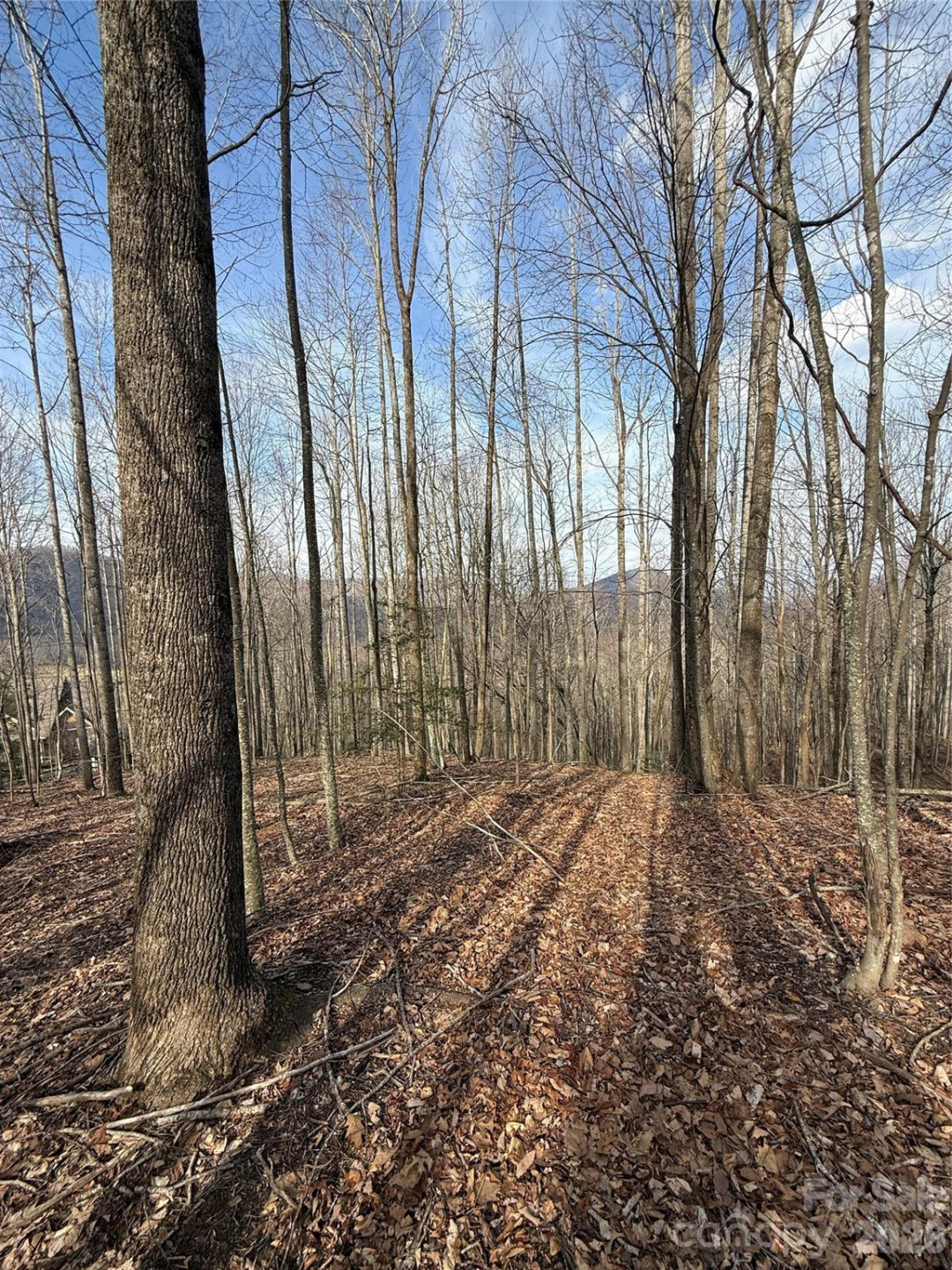 1029 Chippawa Drive #67 - Photo 17