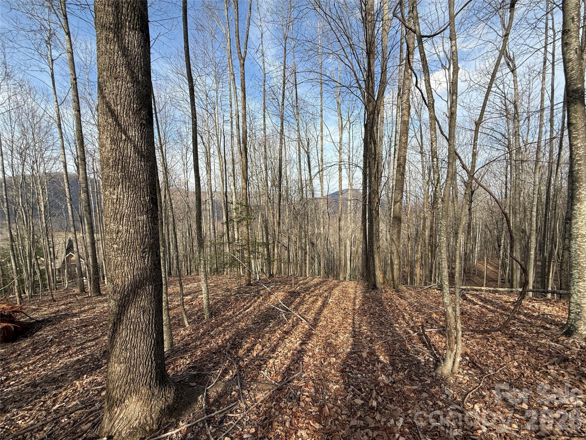 1029 Chippawa Drive #67 - Photo 18