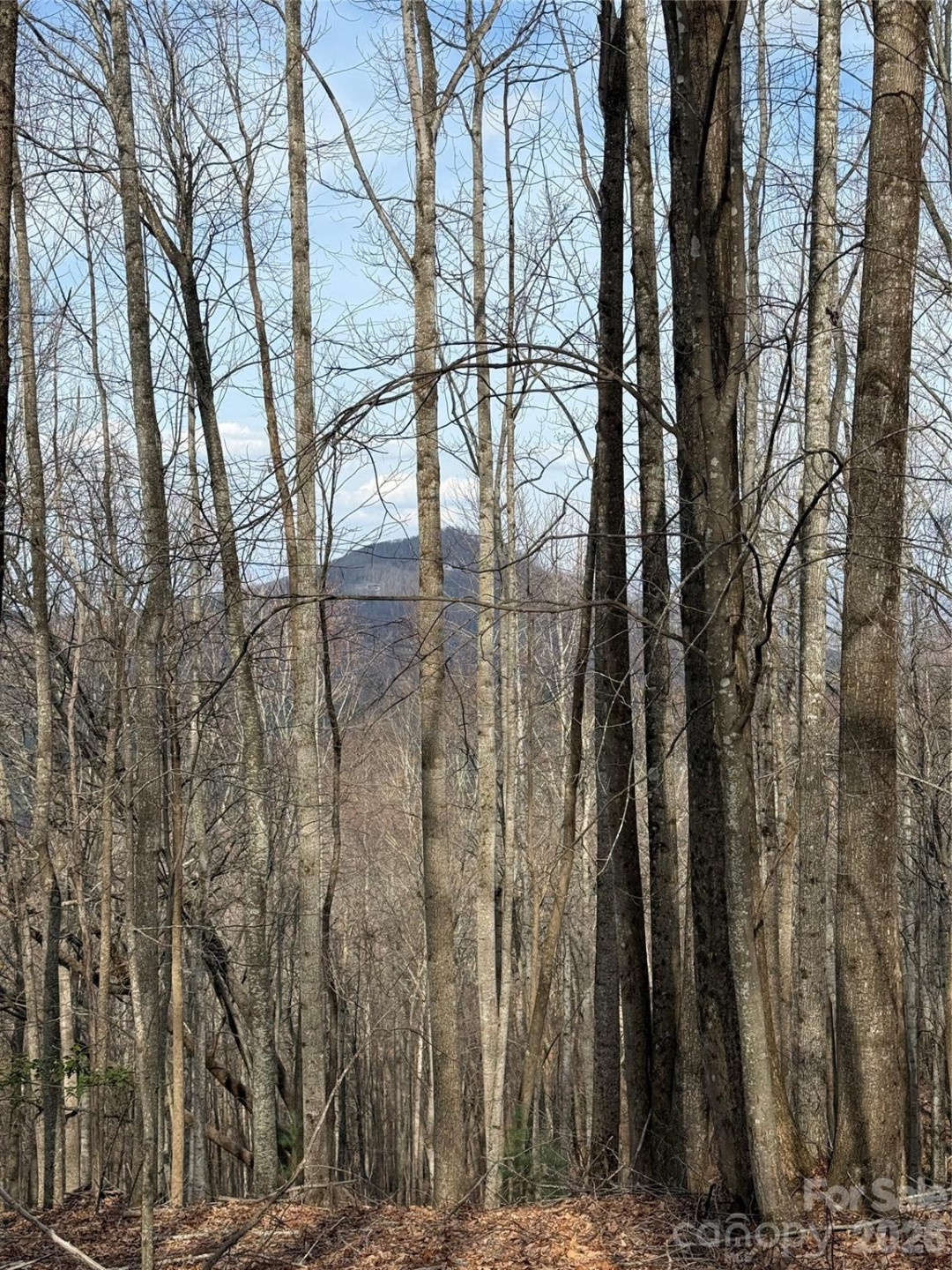 1029 Chippawa Drive #67 - Photo 19