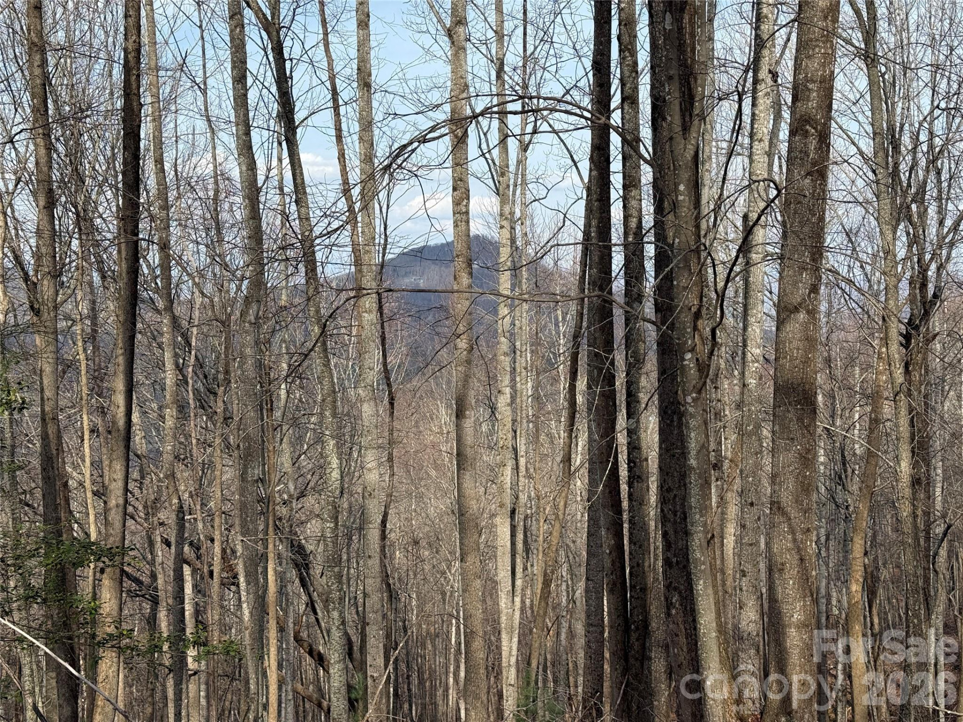 1029 Chippawa Drive #67 - Photo 20