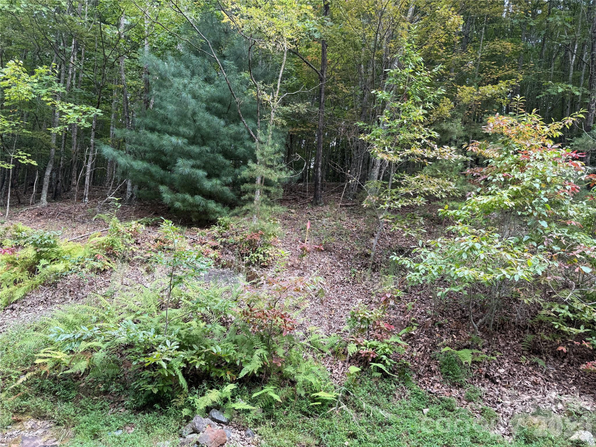 1029 Chippawa Drive #67 - Photo 3