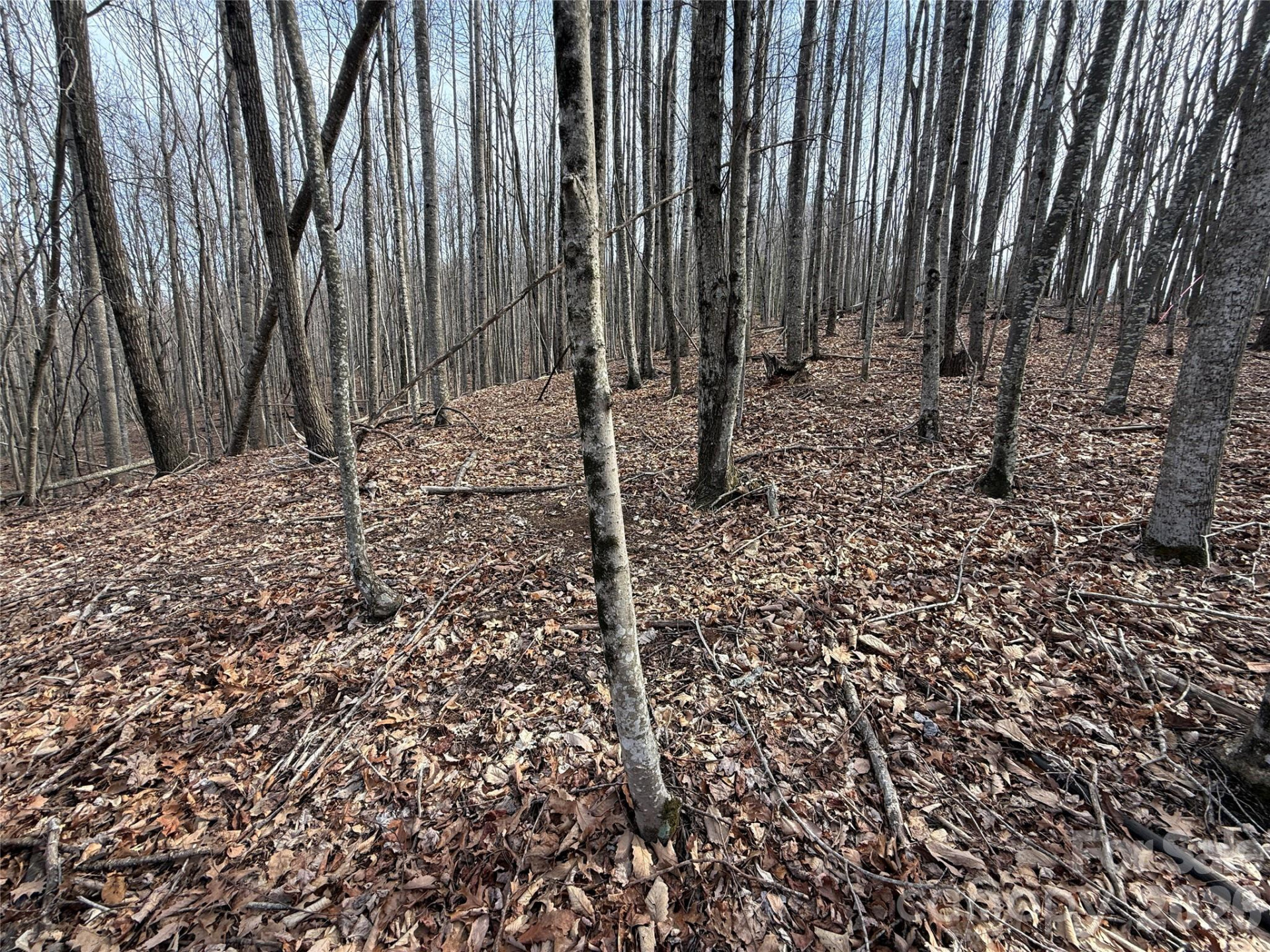 1029 Chippawa Drive #67 - Photo 5