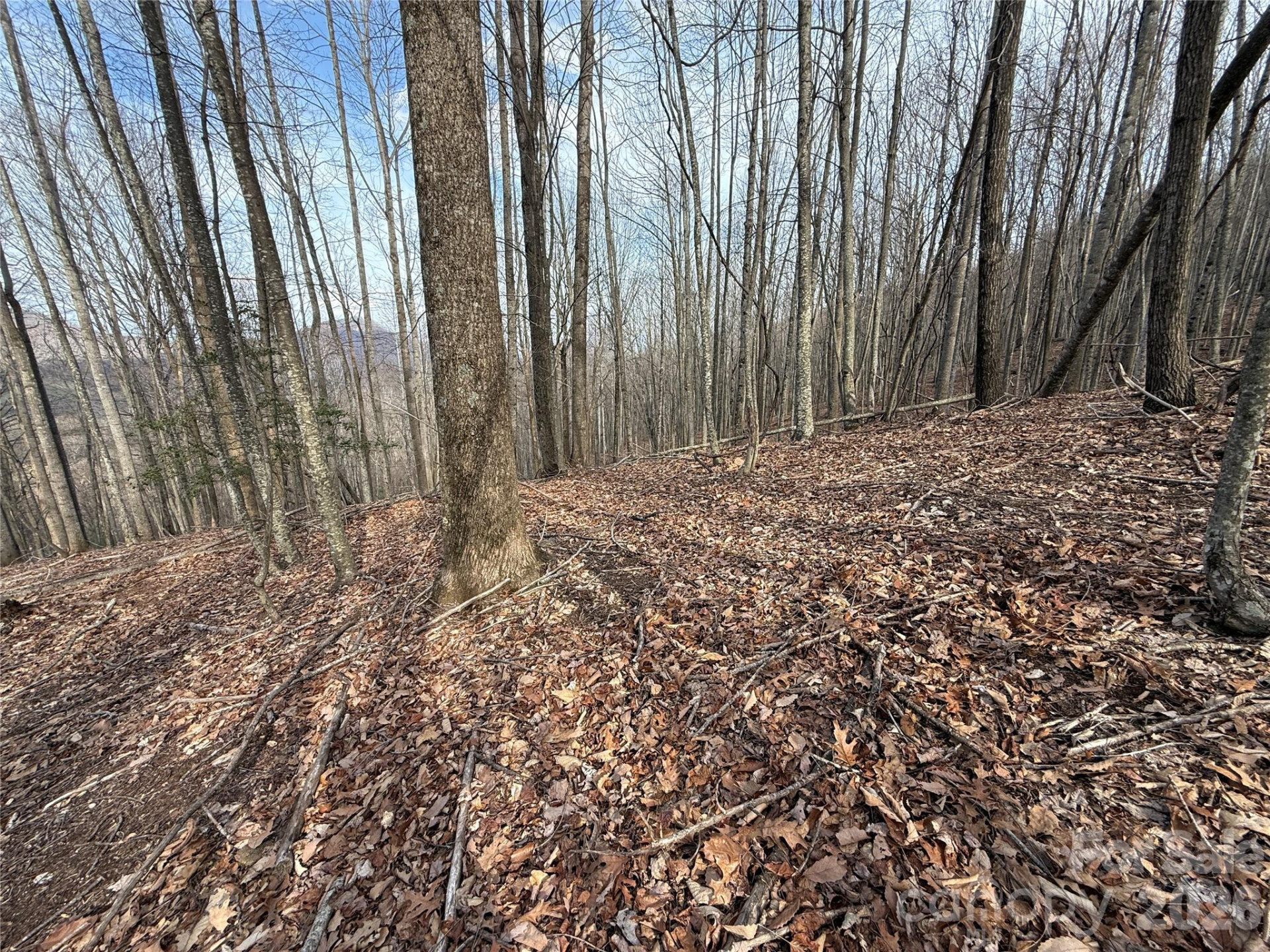 1029 Chippawa Drive #67 - Photo 6