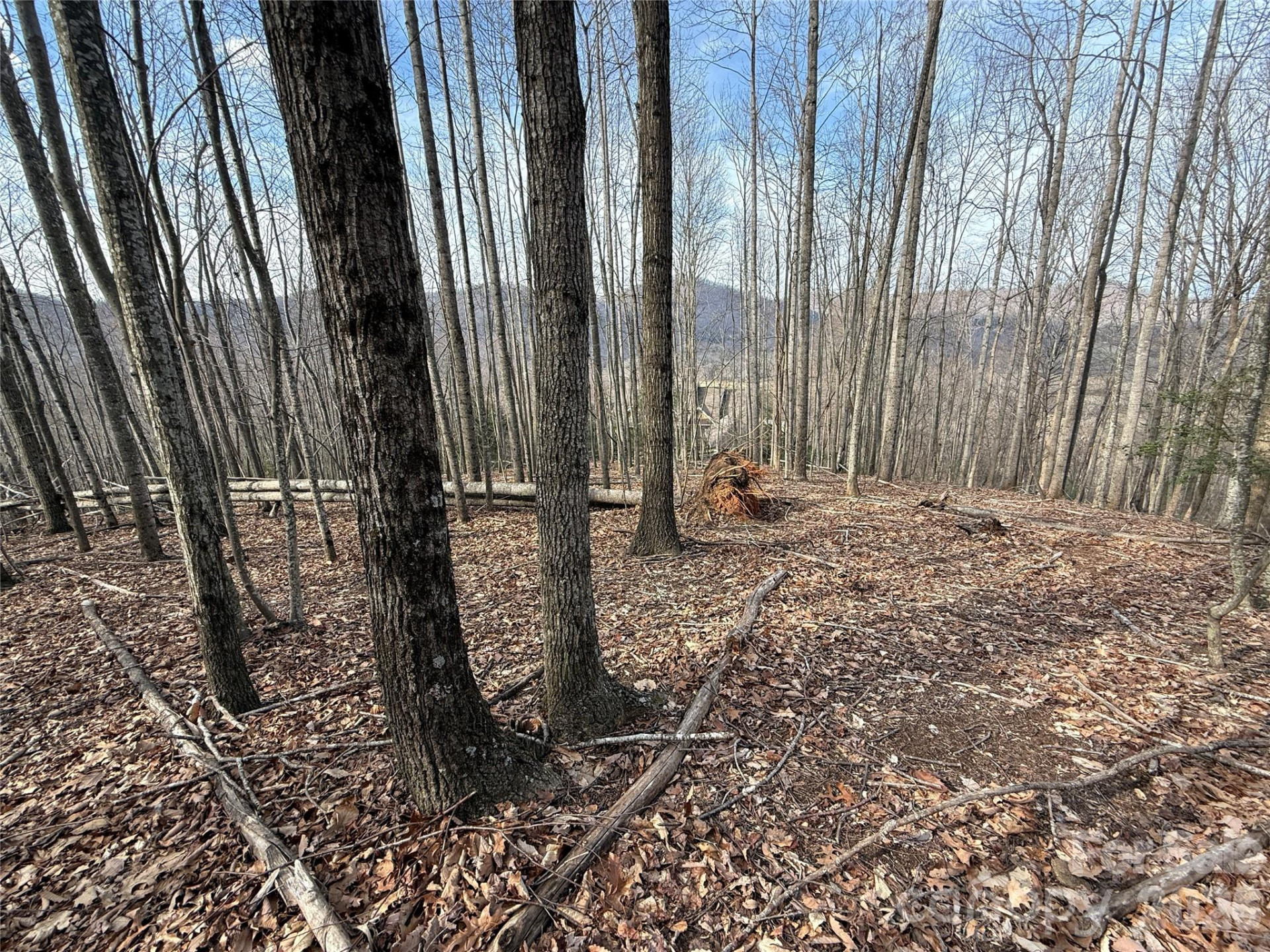 1029 Chippawa Drive #67 - Photo 7