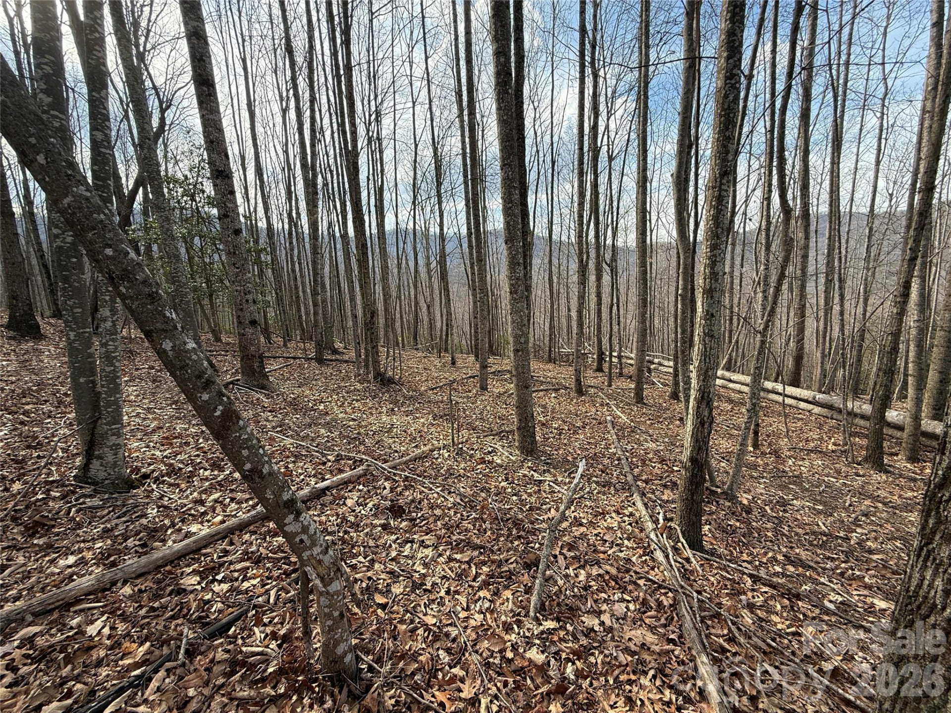 1029 Chippawa Drive #67 - Photo 8