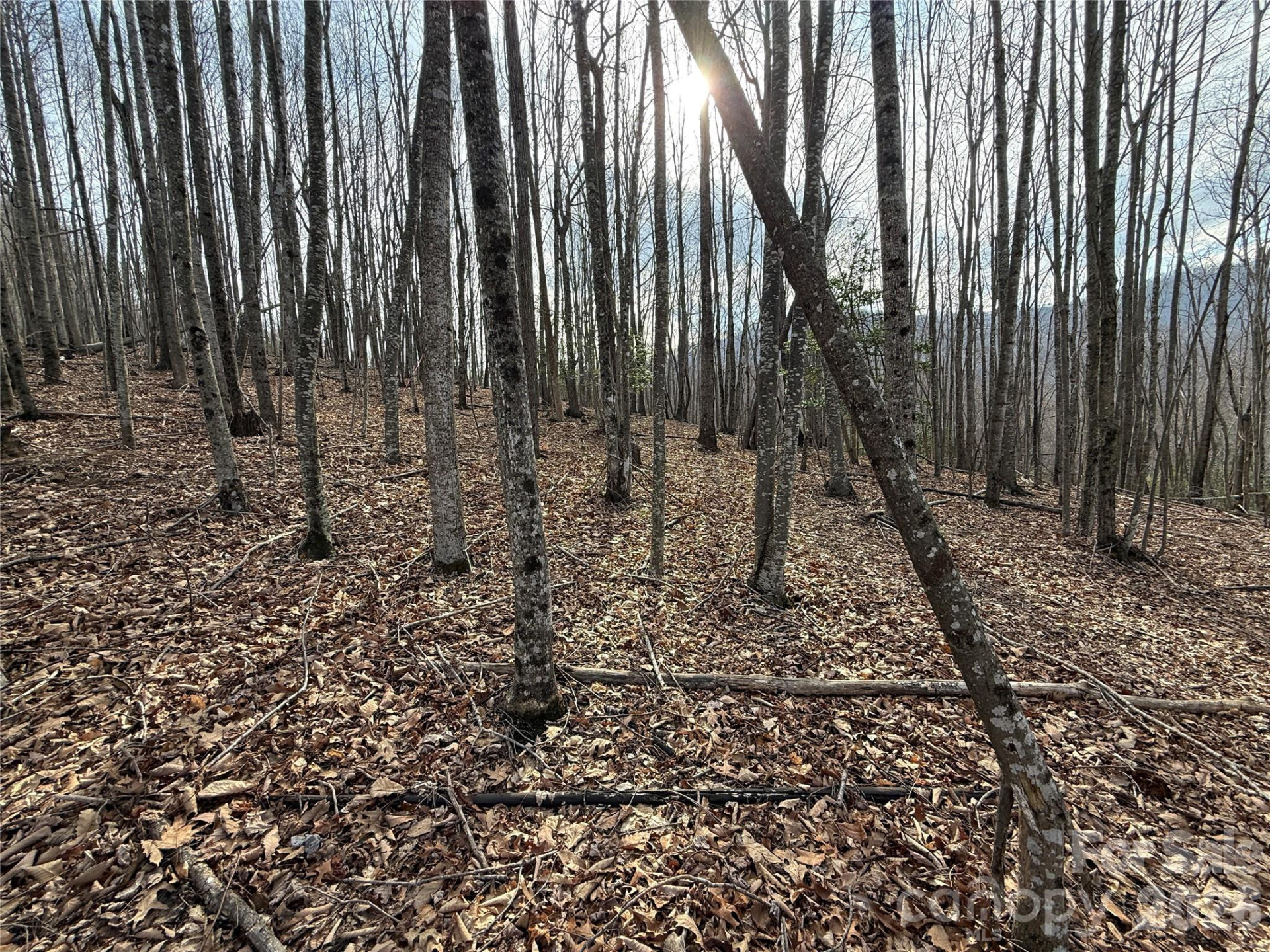 1029 Chippawa Drive #67 - Photo 9