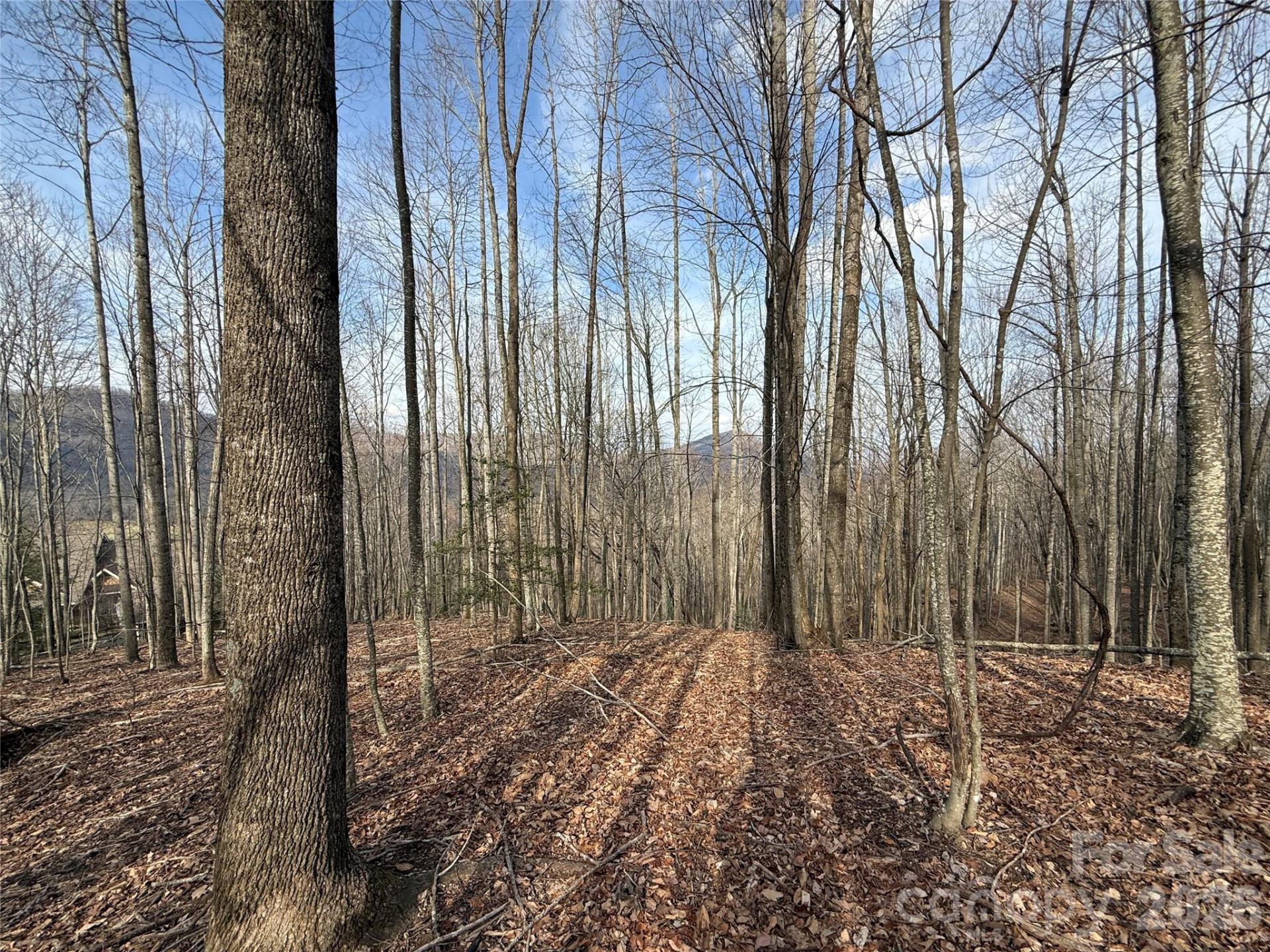 1029 Chippawa Drive #67 - Photo 10