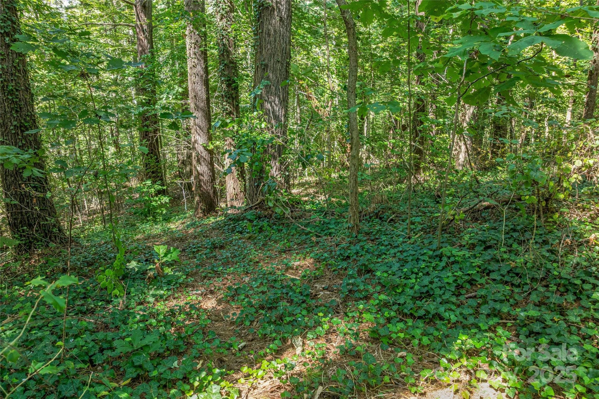 5 Horizon Hill Road - Photo 13