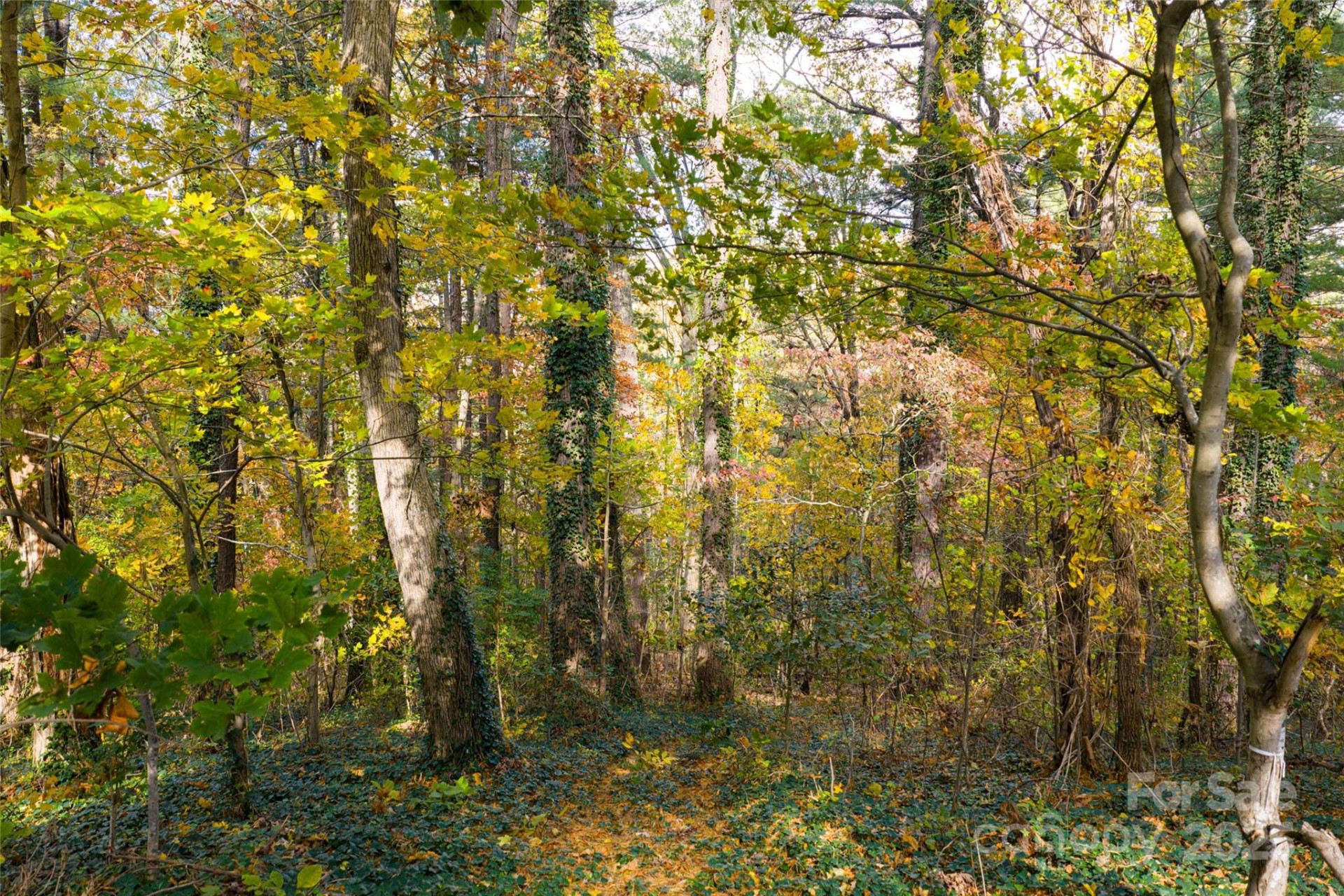 5 Horizon Hill Road - Photo 5