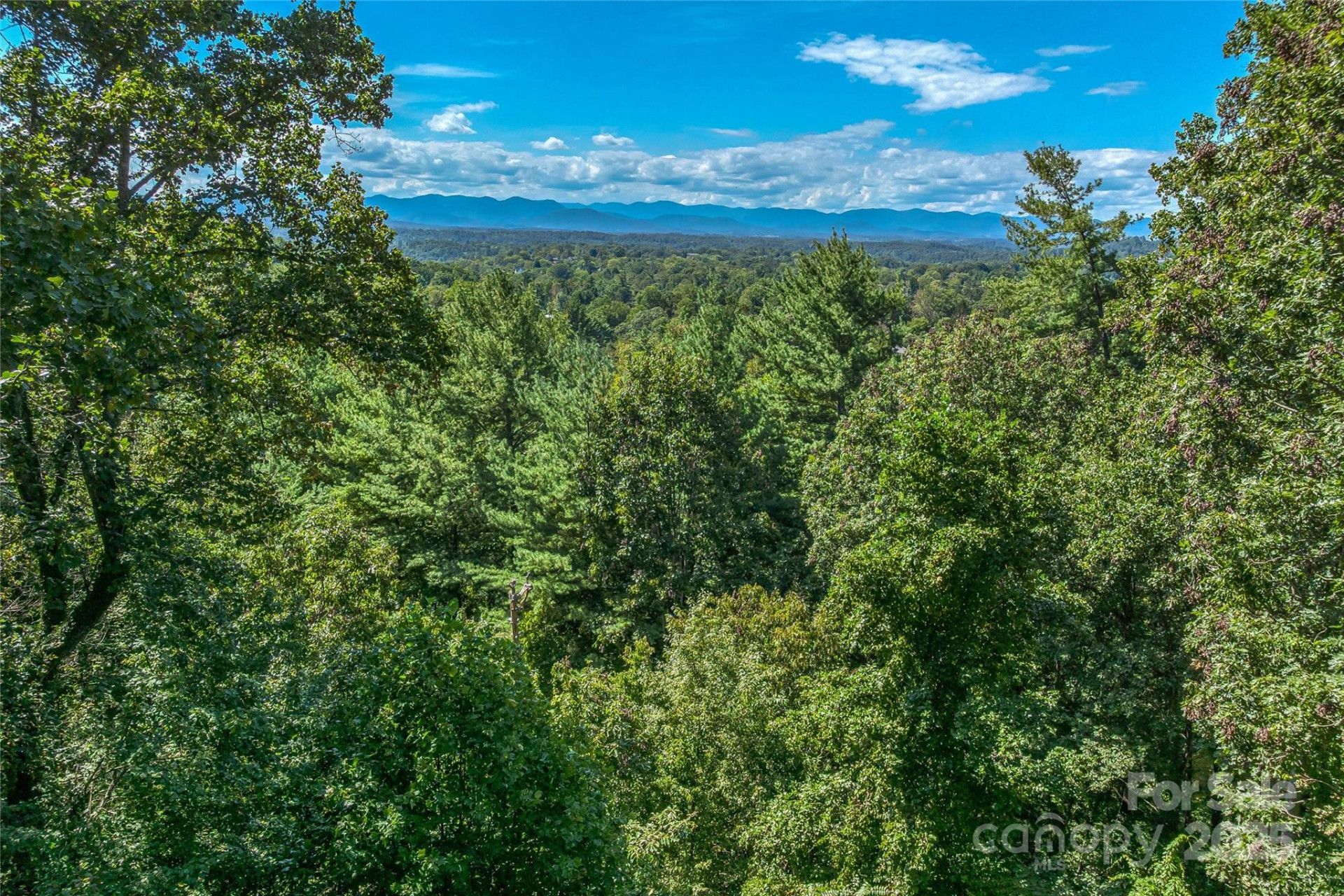 5 Horizon Hill Road - Photo 10