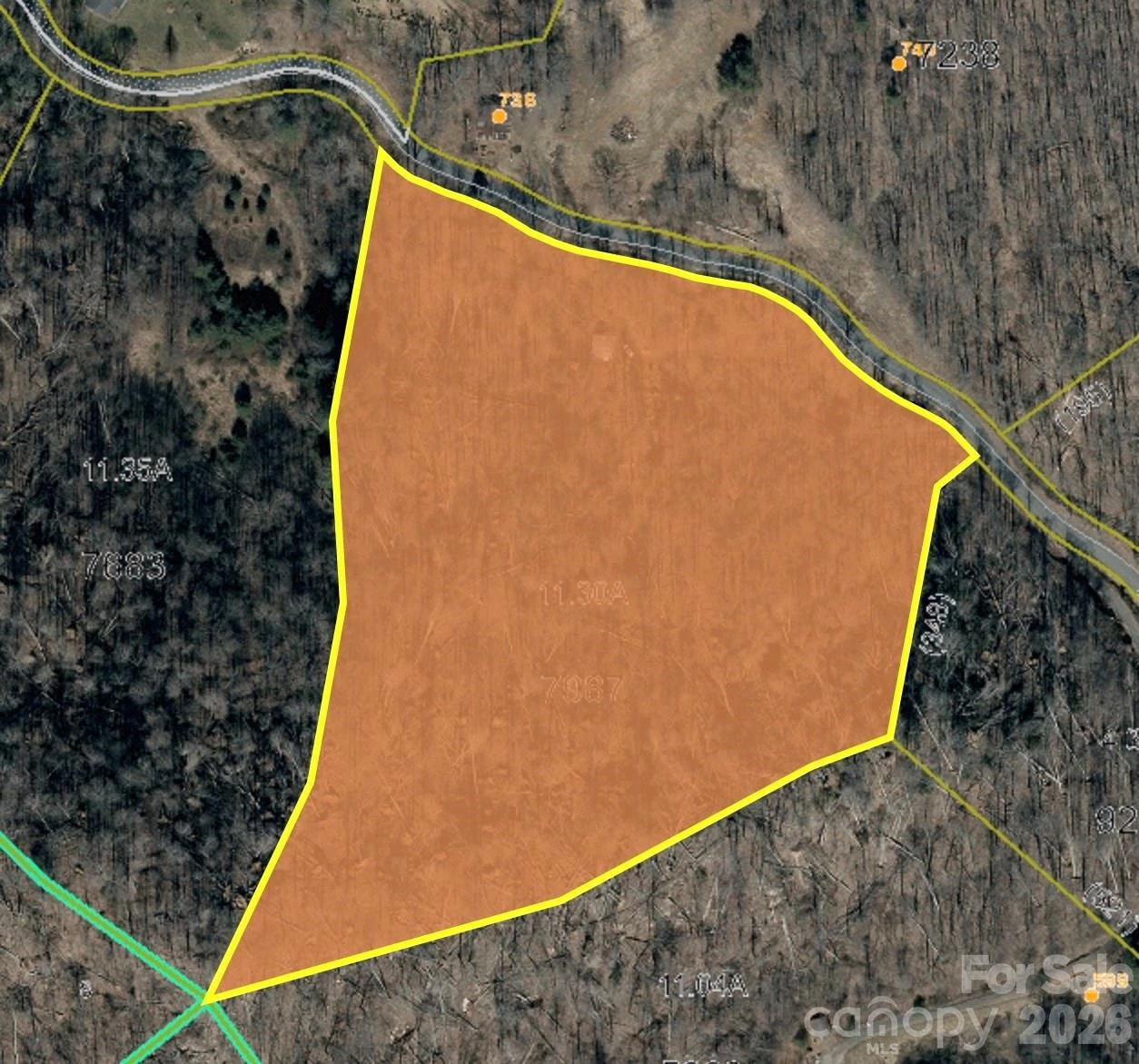 00 Battle Branch Road - Photo 2