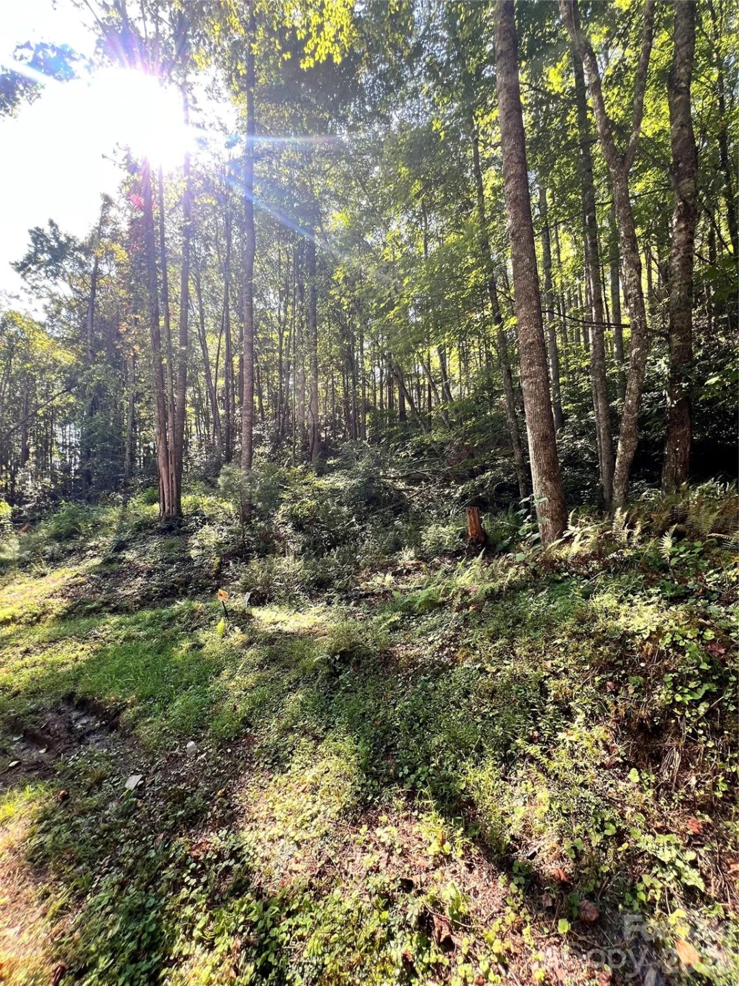 00 Battle Branch Road - Photo 17