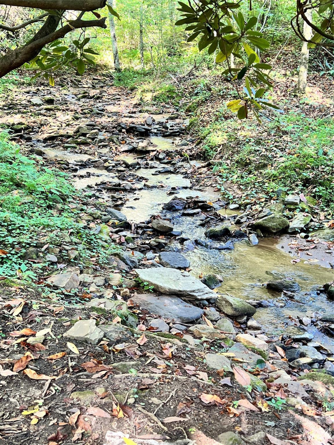 00 Battle Branch Road - Photo 3