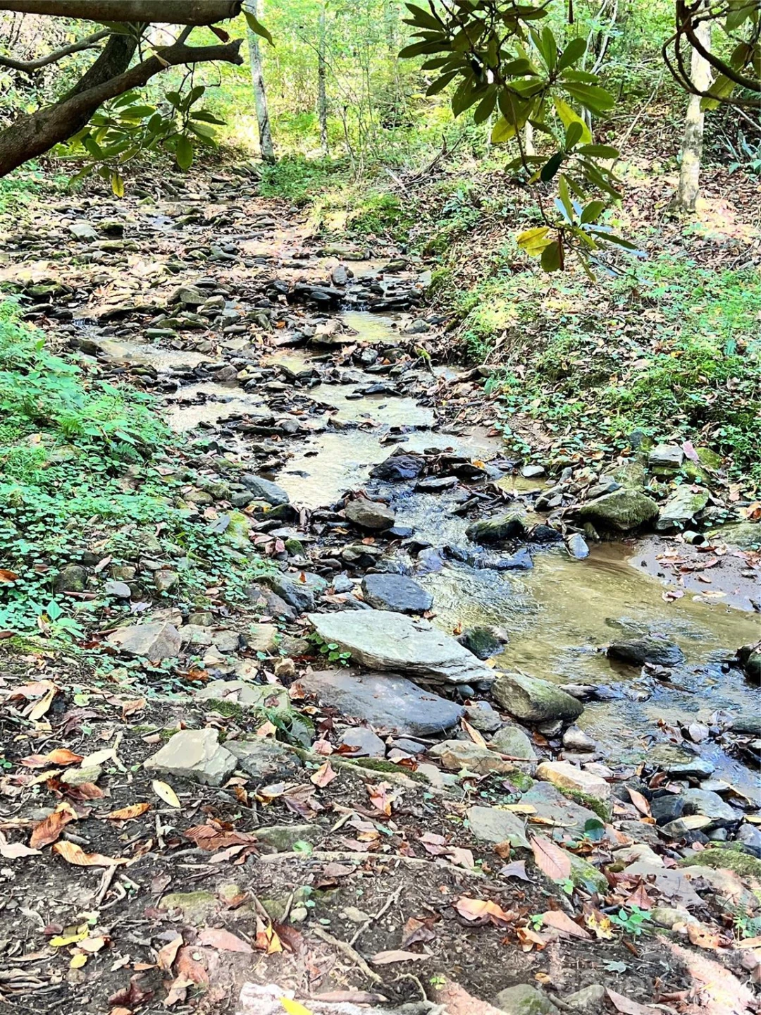 00 Battle Branch Road - Photo 3