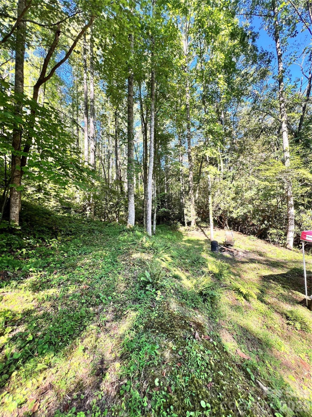 00 Battle Branch Road - Photo 4