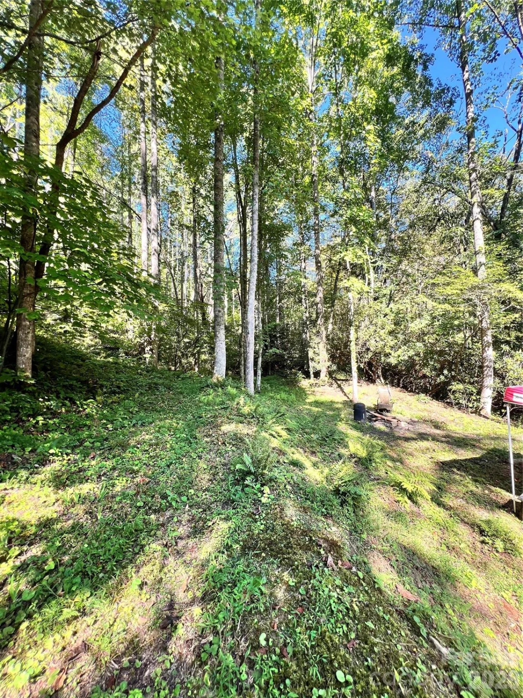 00 Battle Branch Road - Photo 4